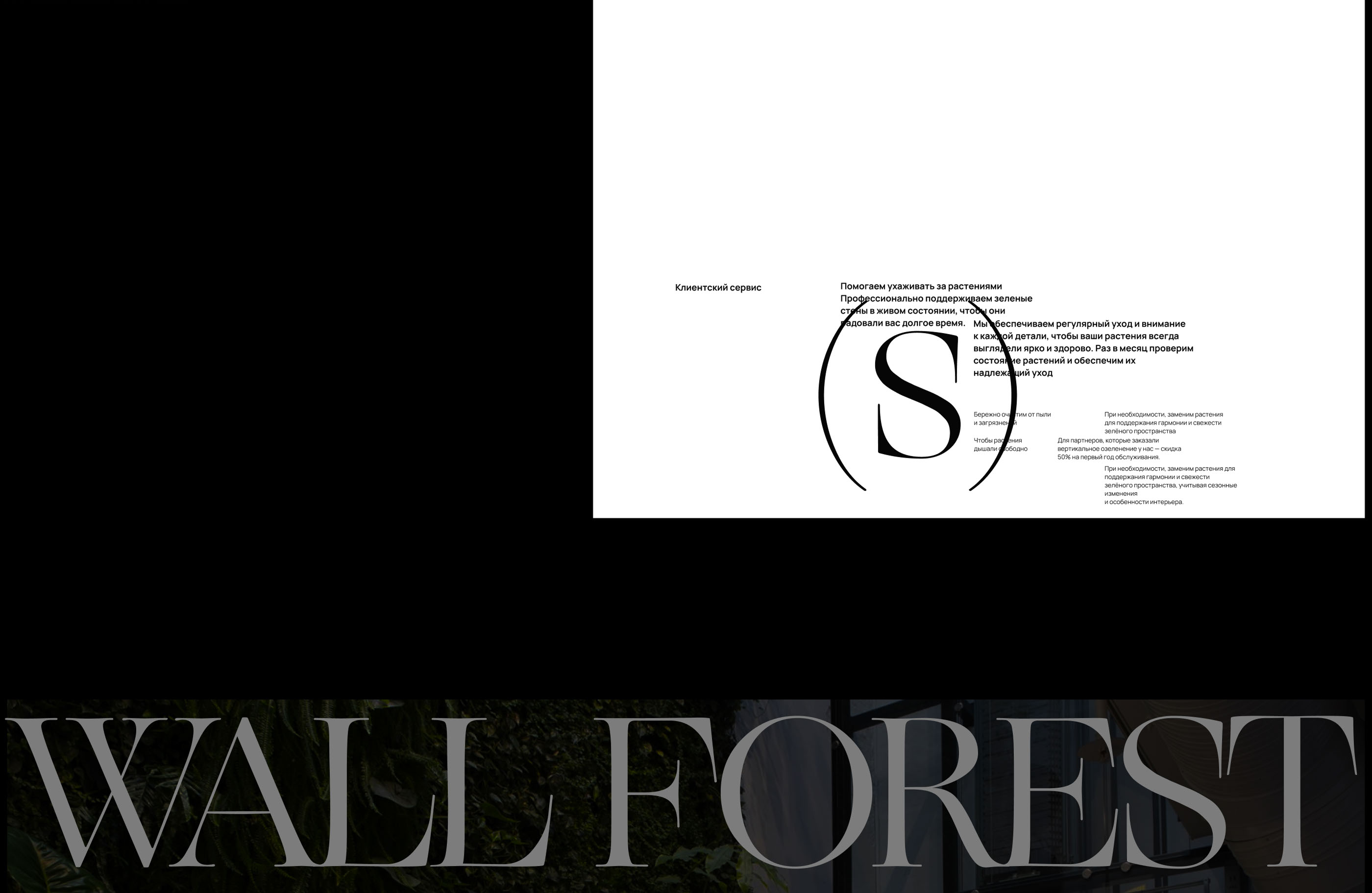 Wall Forest — Изображение №5 — Интерфейсы, Брендинг на Dprofile