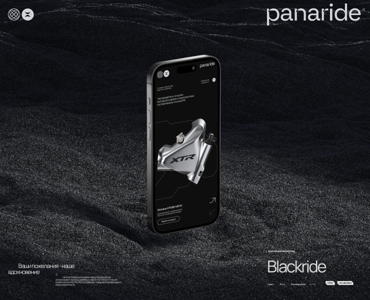 Panaride / сайт на tilda — Интерфейсы, Брендинг на Dprofile