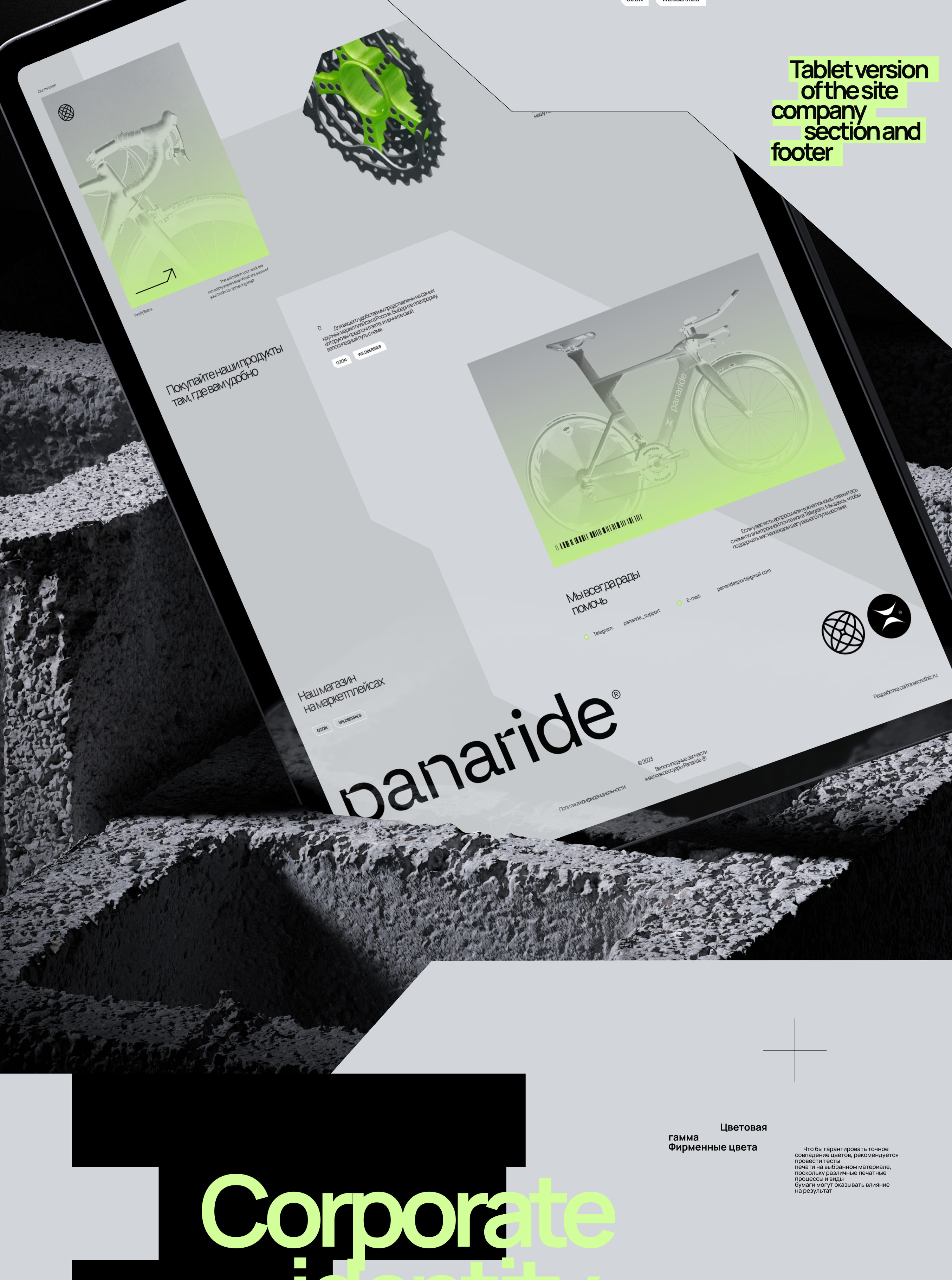 Panaride / сайт на tilda — Изображение №2 — Интерфейсы, Брендинг на Dprofile