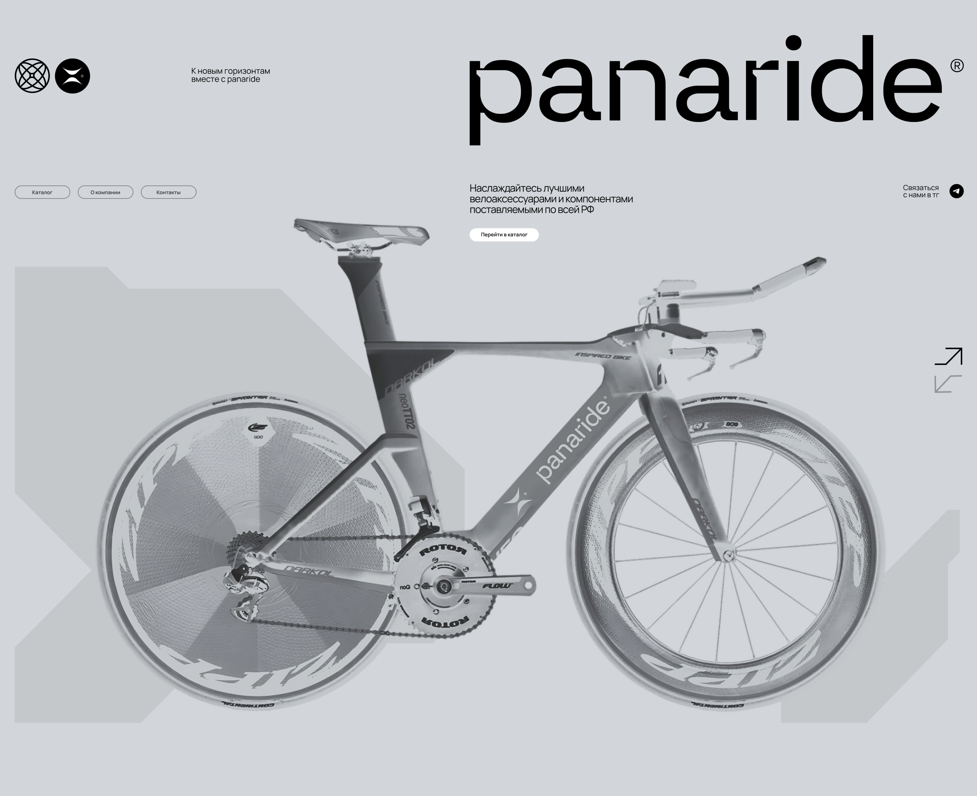 Panaride / сайт на tilda — Изображение №9 — Интерфейсы, Брендинг на Dprofile
