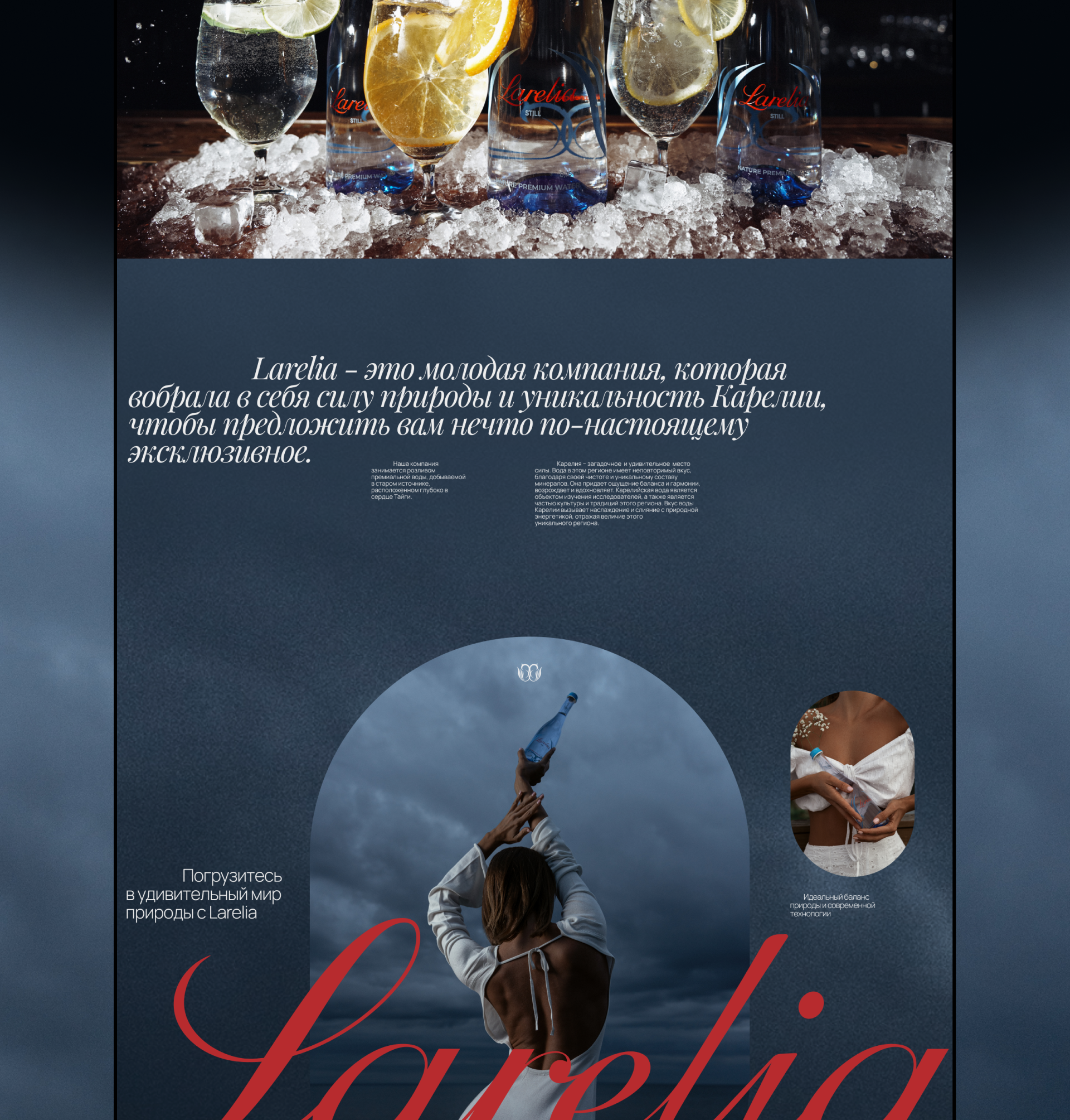Larelia / сайт на tilda — Изображение №10 — Интерфейсы, Брендинг на Dprofile