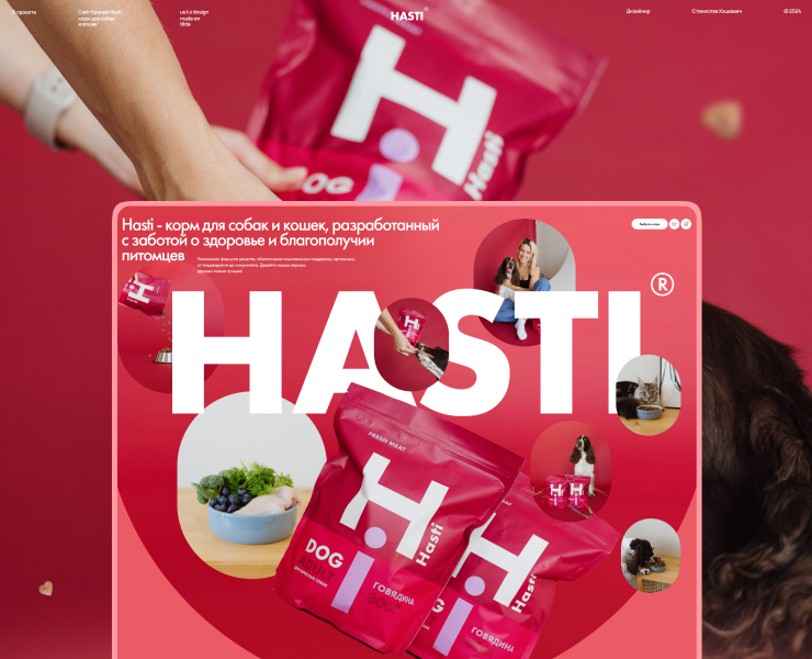 Hasti / сайт на Tilda — Интерфейсы, Брендинг на Dprofile
