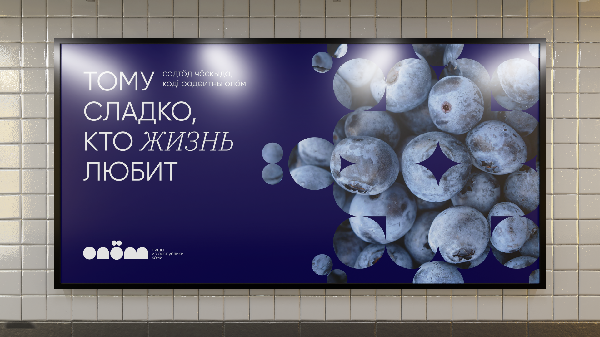 Бренд пищи  из республики  Коми «Олӧм» — Изображение №11 — Брендинг, Графика на Dprofile