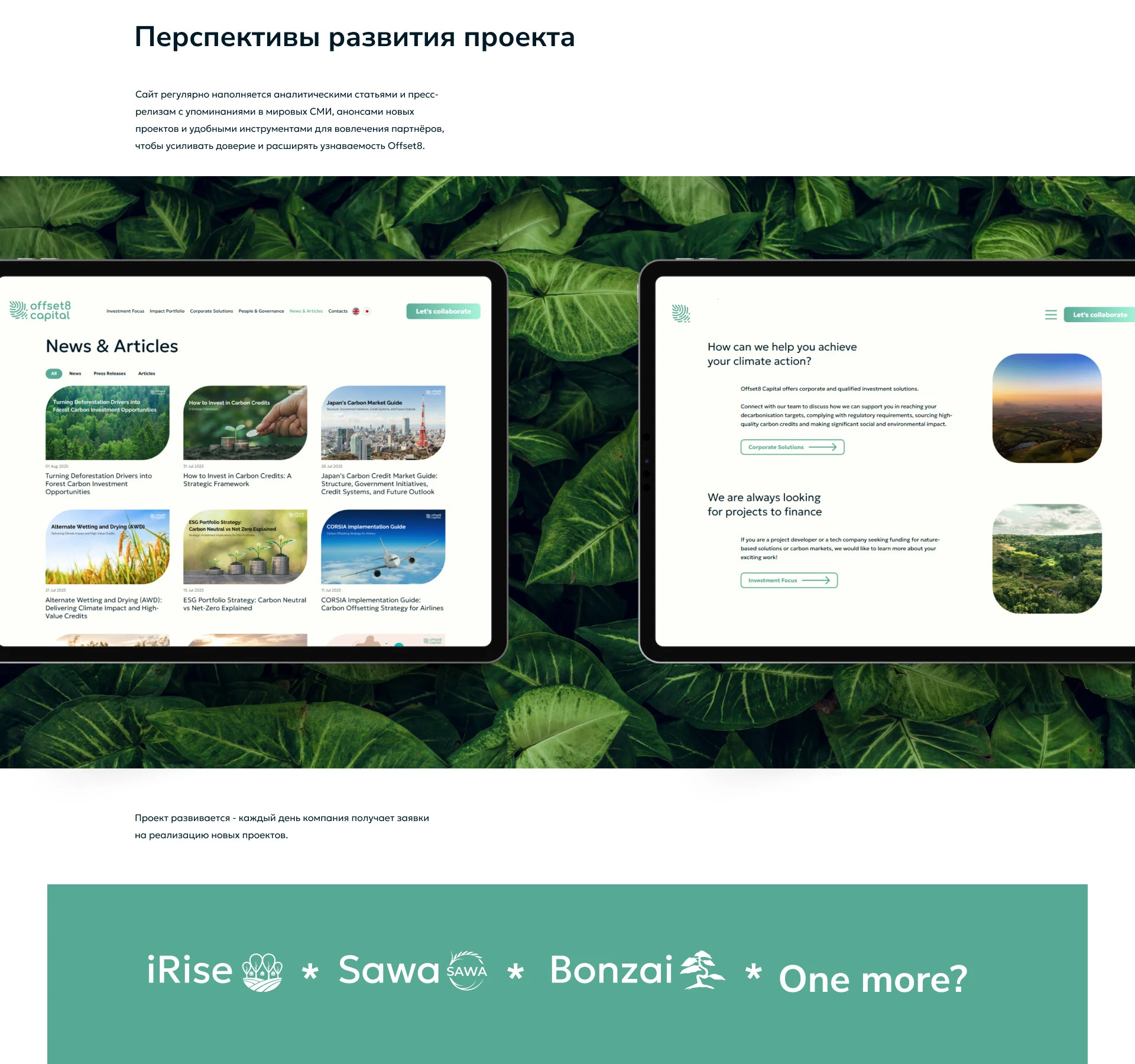Offset8Capital - дизайн и разработка сайта — Изображение №5 — Интерфейсы на Dprofile