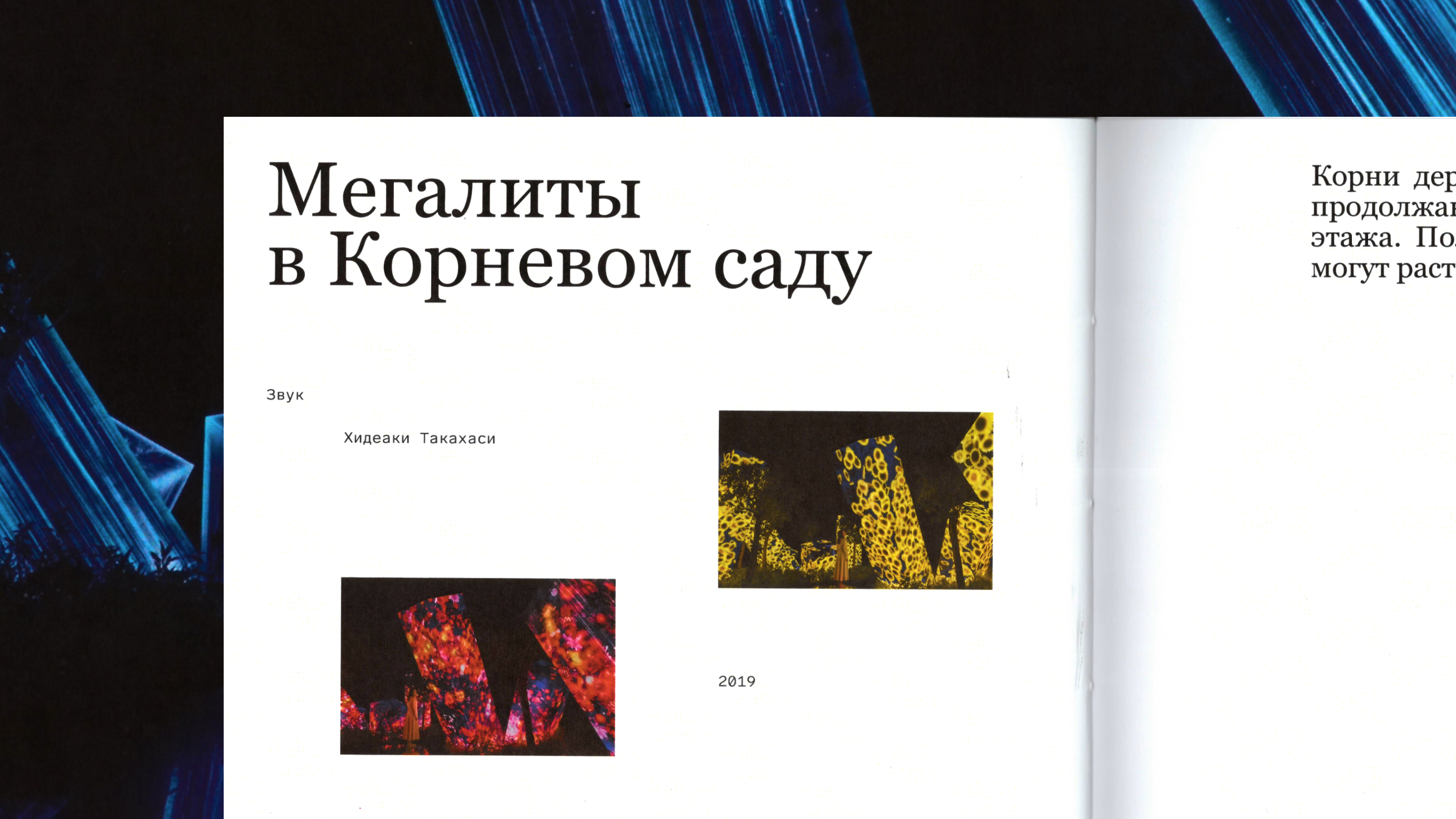 Культурный код инсталляций teamLab — Изображение №17 — Графика на Dprofile