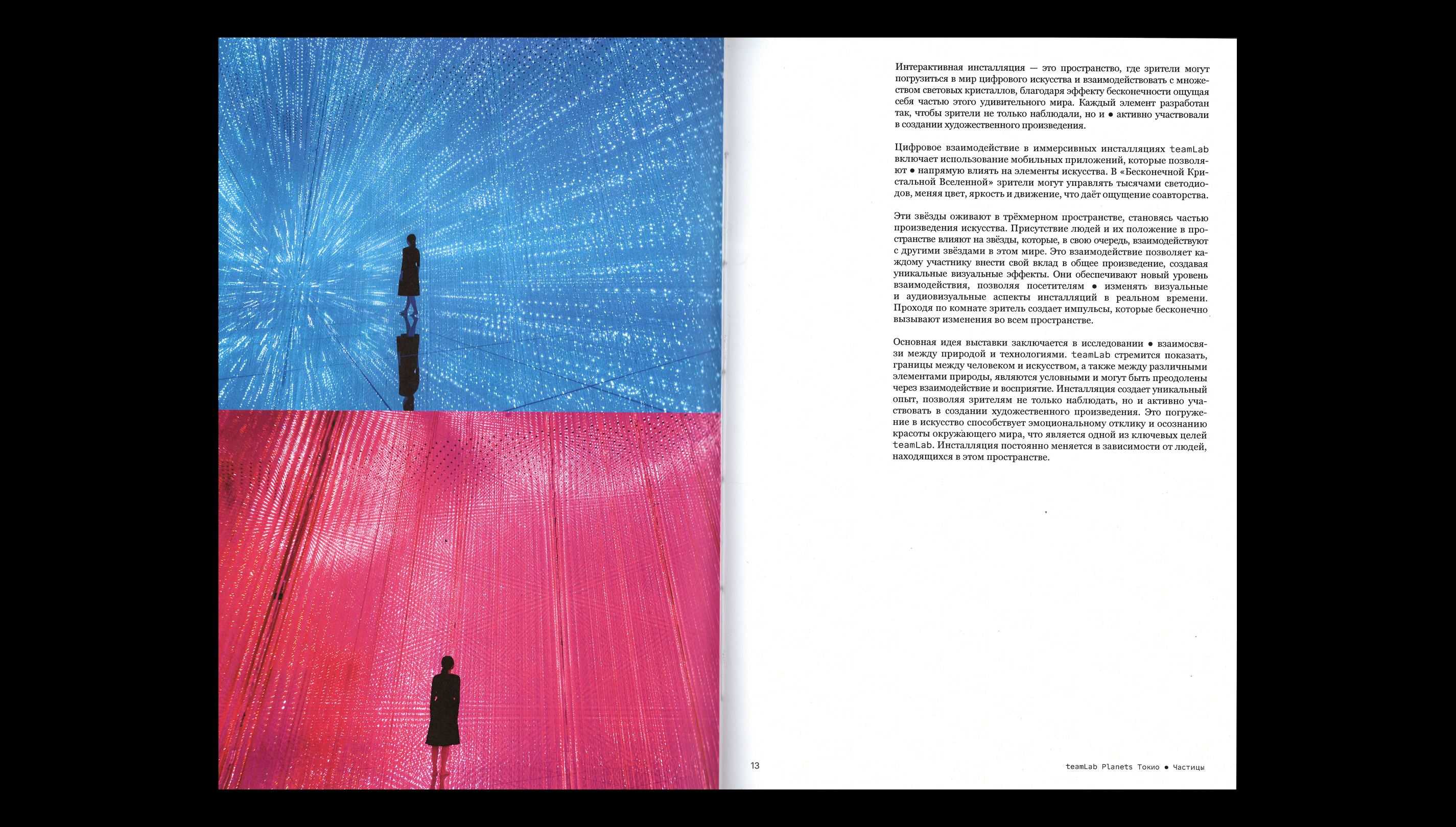 Культурный код инсталляций teamLab — Изображение №6 — Графика на Dprofile