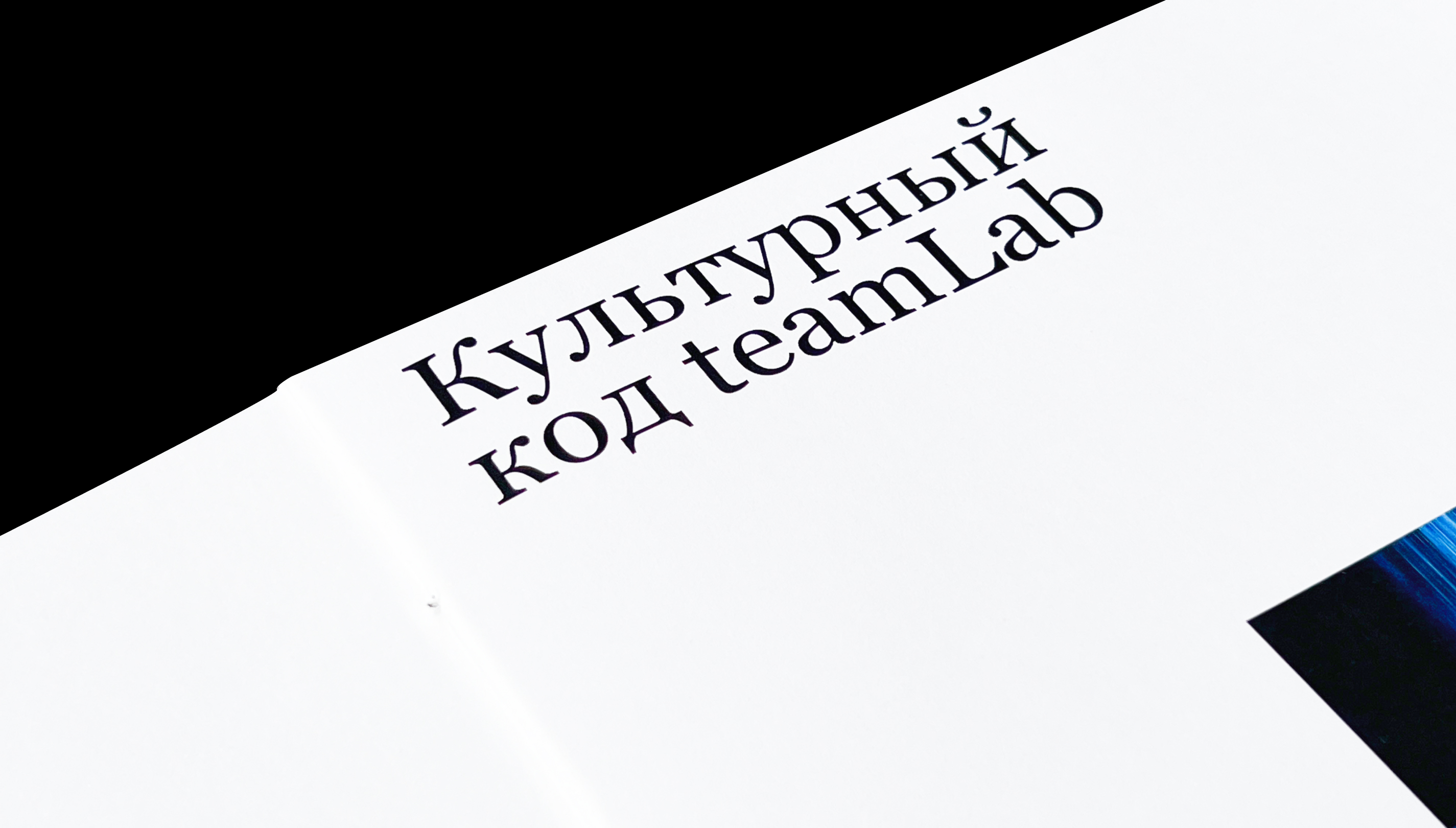 Культурный код инсталляций teamLab — Изображение №2 — Графика на Dprofile