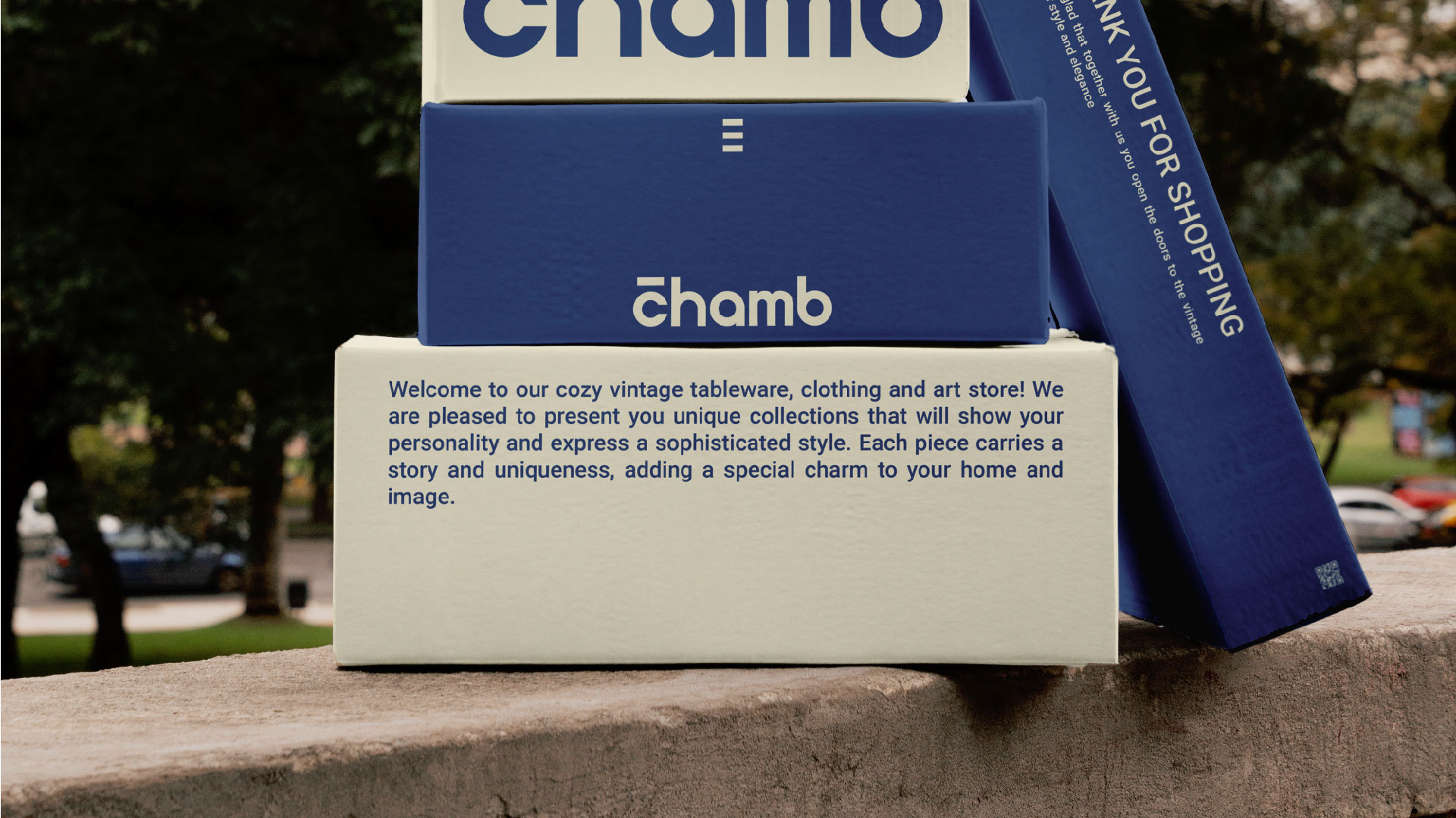 chamb / visual identity / brand identity — Изображение №5 — Брендинг, Иллюстрация на Dprofile