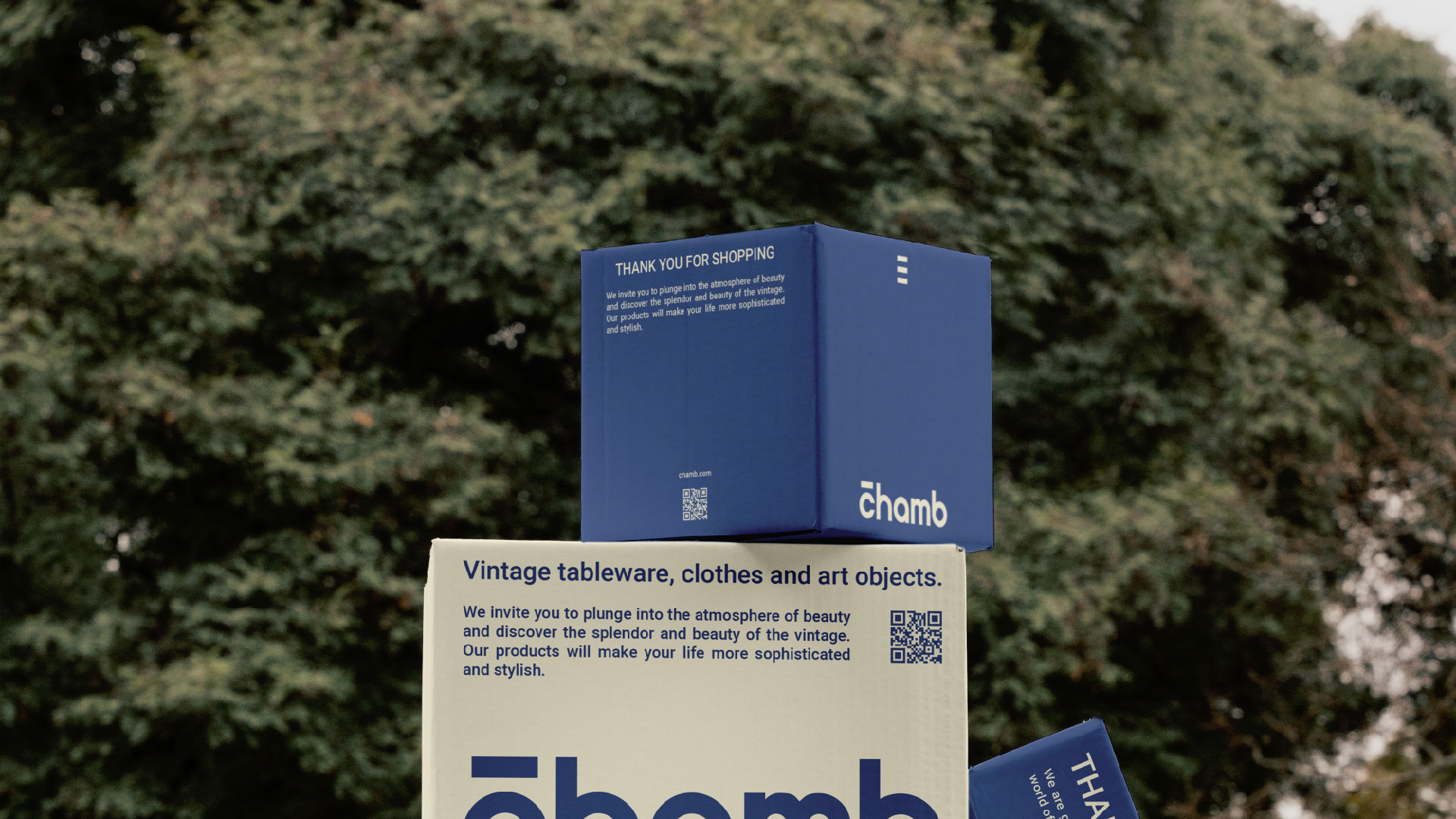 chamb / visual identity / brand identity — Изображение №4 — Брендинг, Иллюстрация на Dprofile