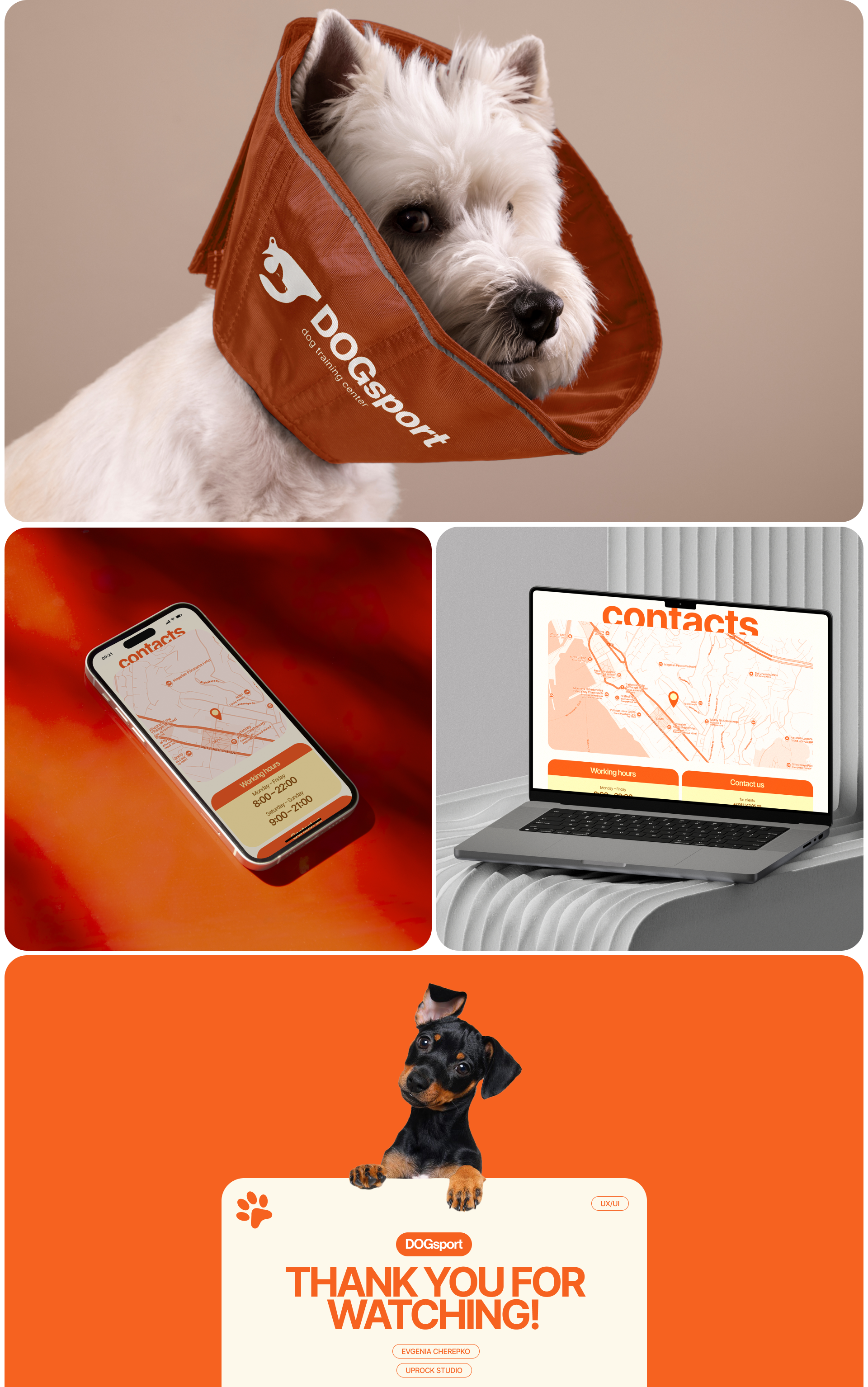 DOGsport | Corporate website — Изображение №7 — Интерфейсы, Брендинг на Dprofile