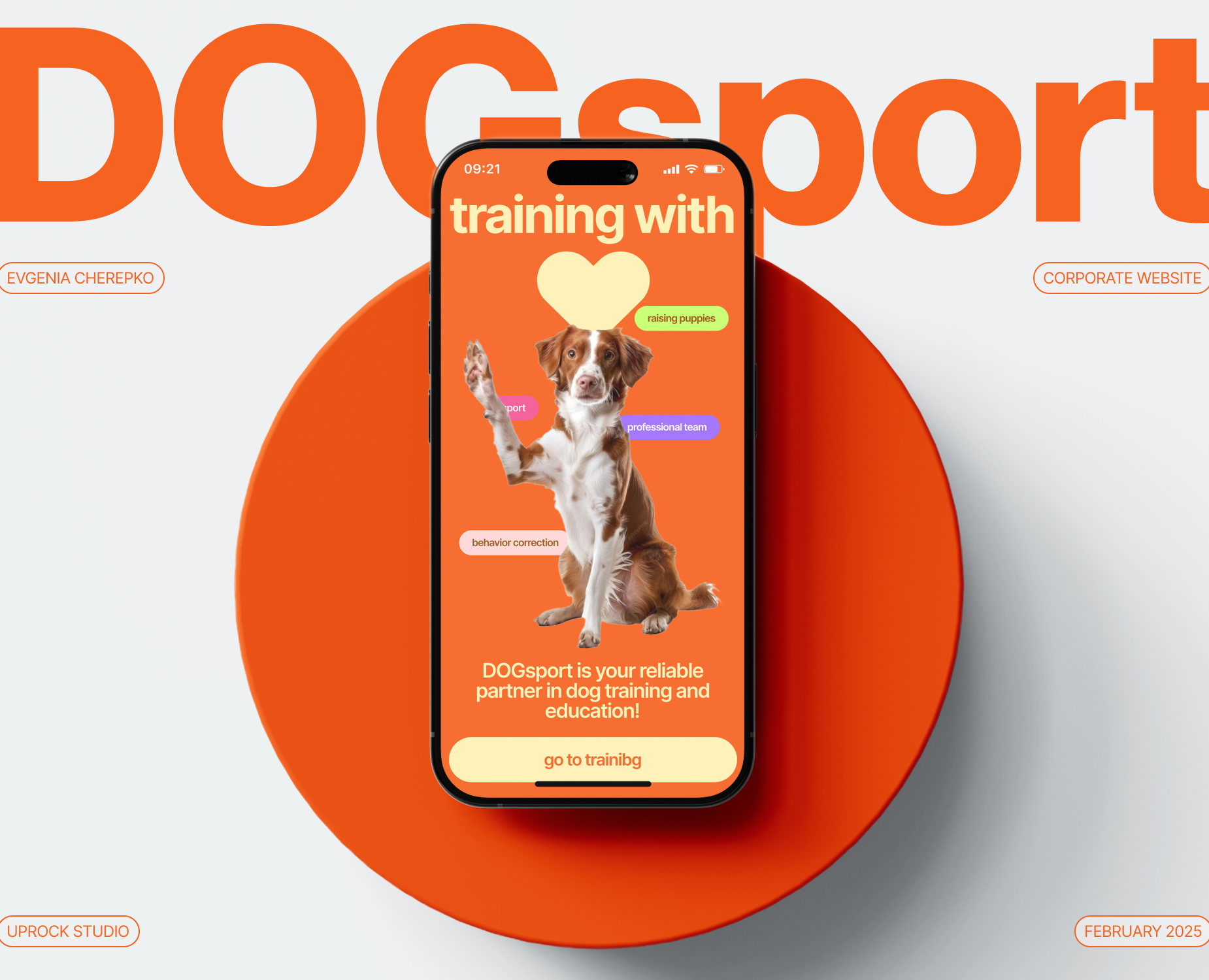 DOGsport | Corporate website — Интерфейсы, Брендинг на Dprofile