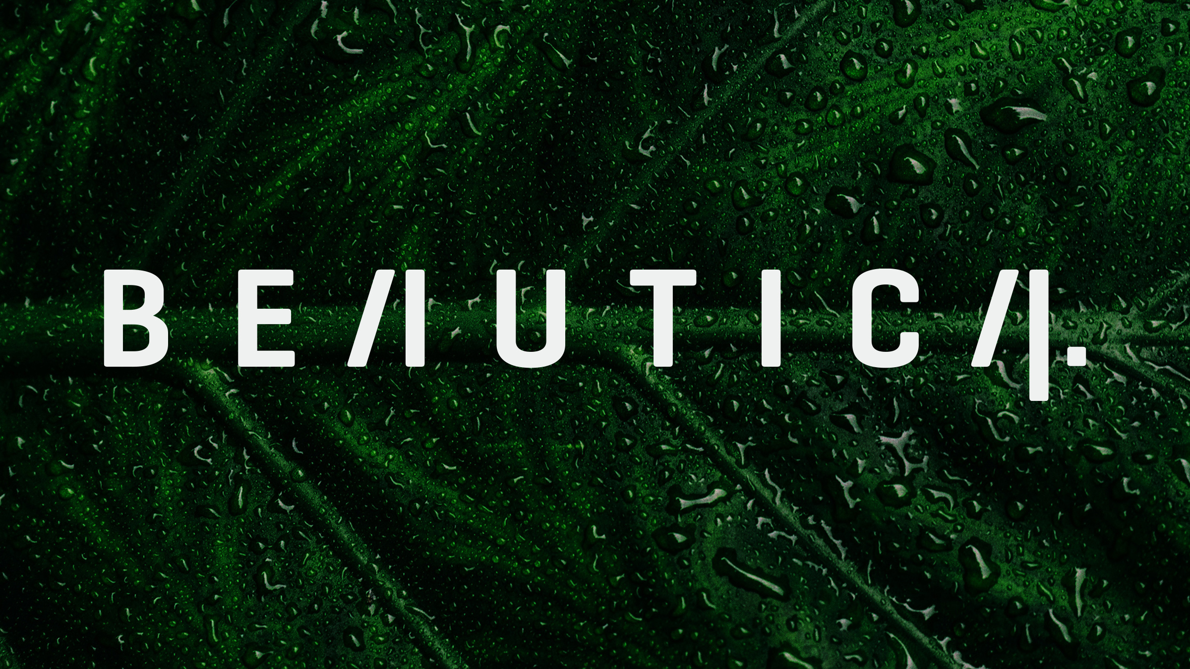Beautica — Изображение №2 — Брендинг, Графика на Dprofile