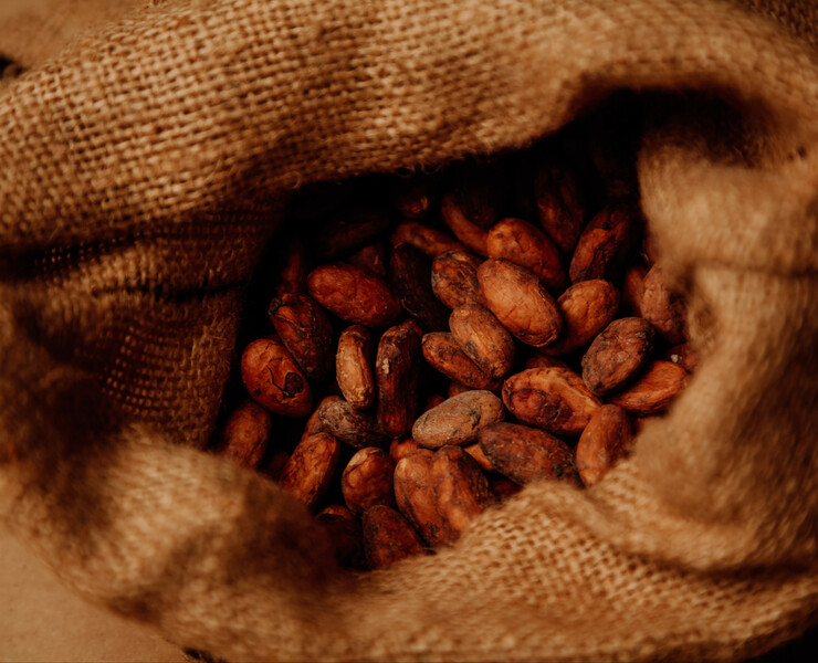 Fresh cacao на Dprofile