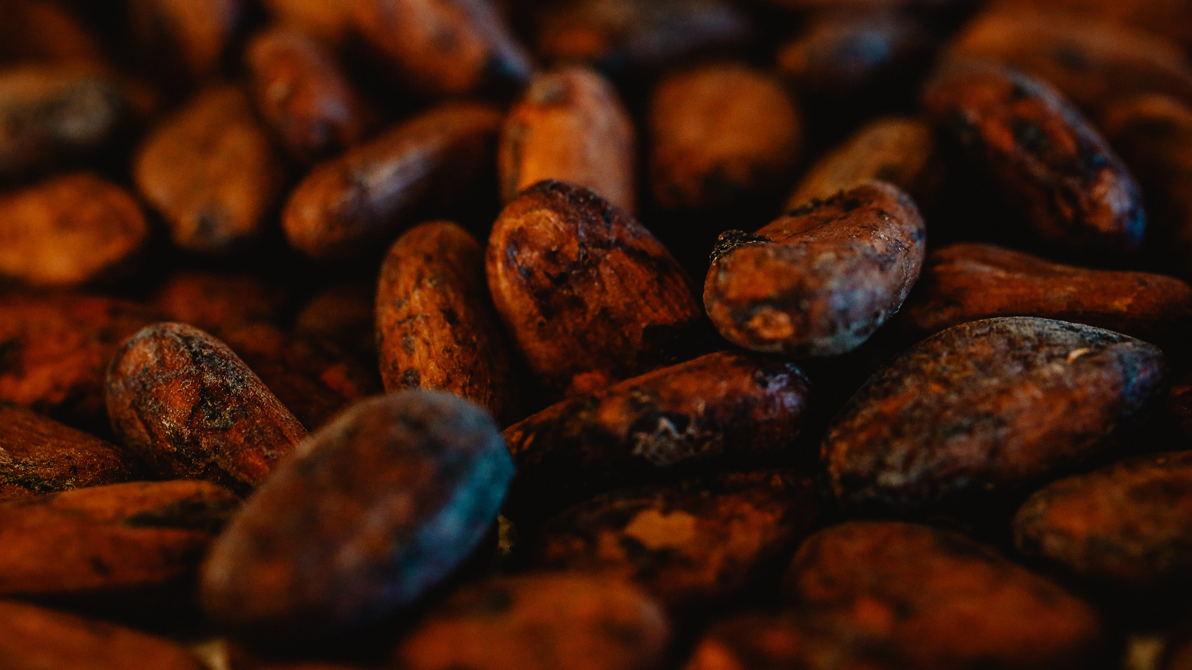 Fresh cacao — Изображение №2 — Брендинг на Dprofile