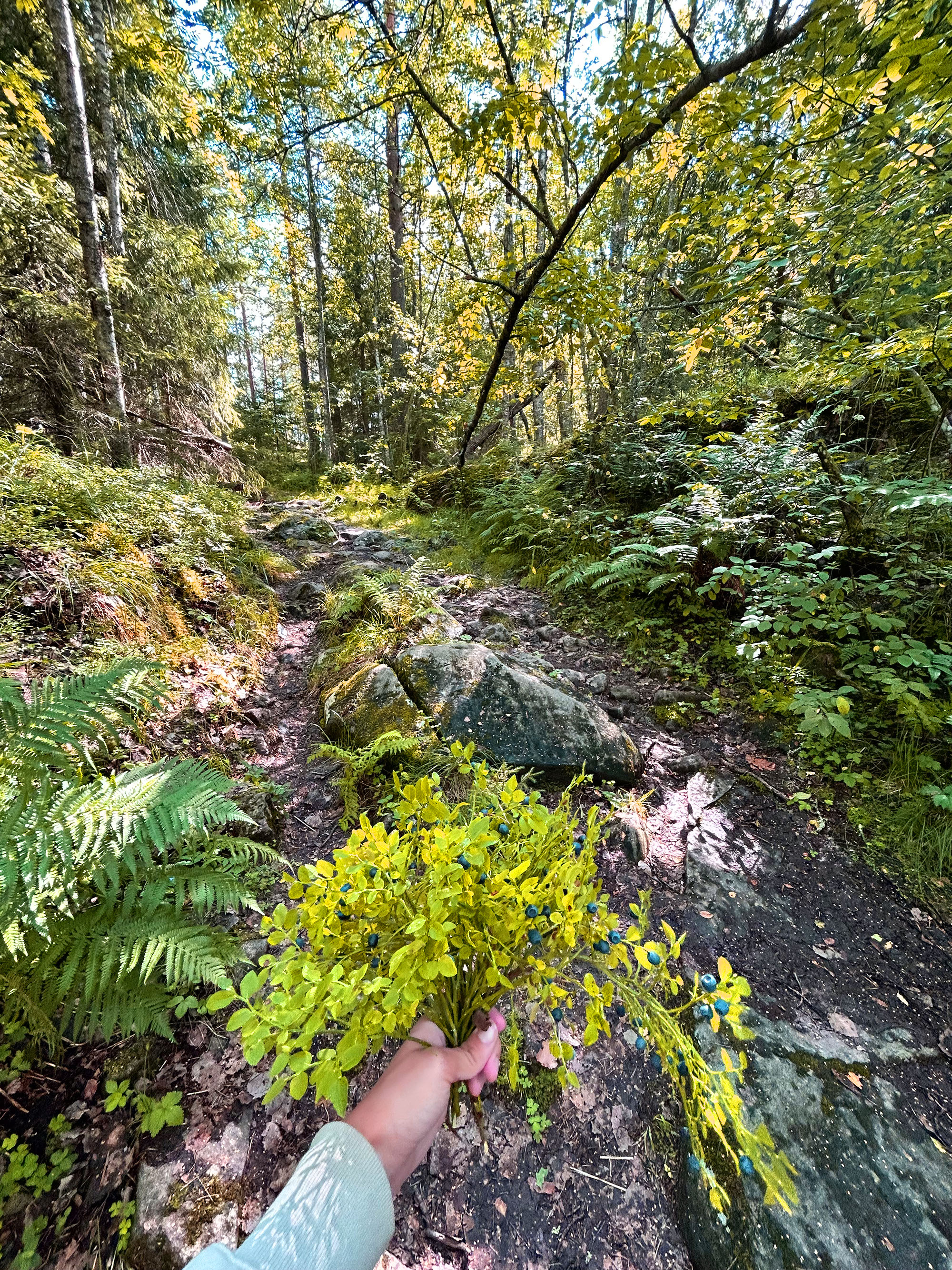 Лесные монстрики — Изображение №9 — Иллюстрация на Dprofile