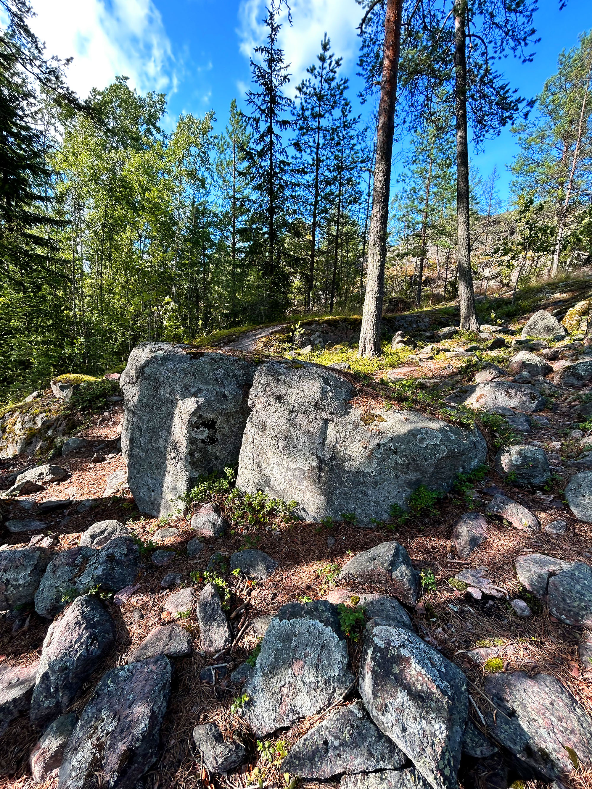 Лесные монстрики — Изображение №10 — Иллюстрация на Dprofile