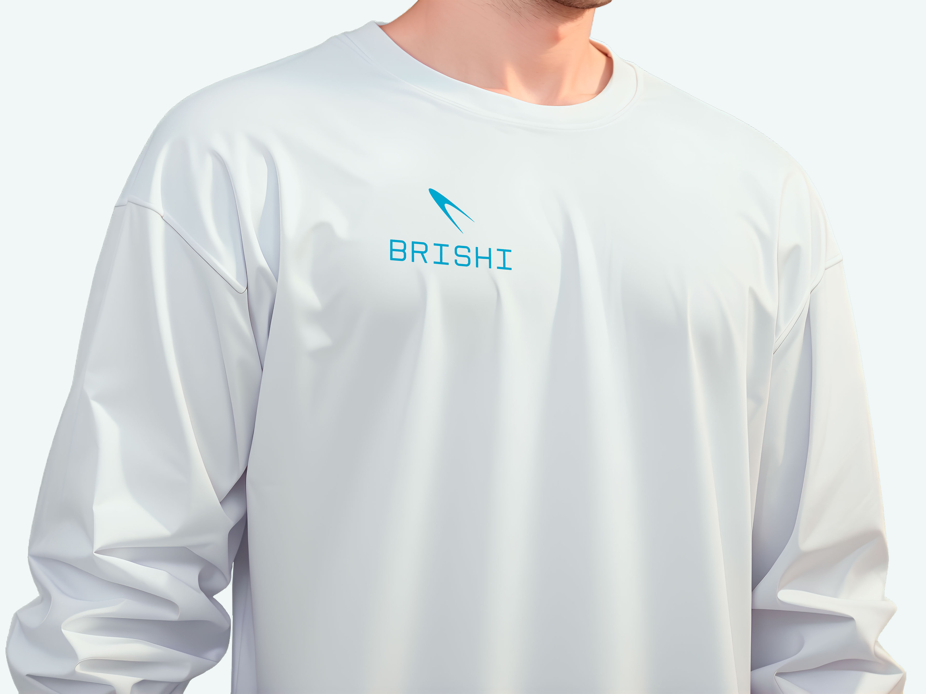 Фирменный стиль для IT компании BRISHI | Логотип — Изображение №1 — Брендинг, Графика на Dprofile