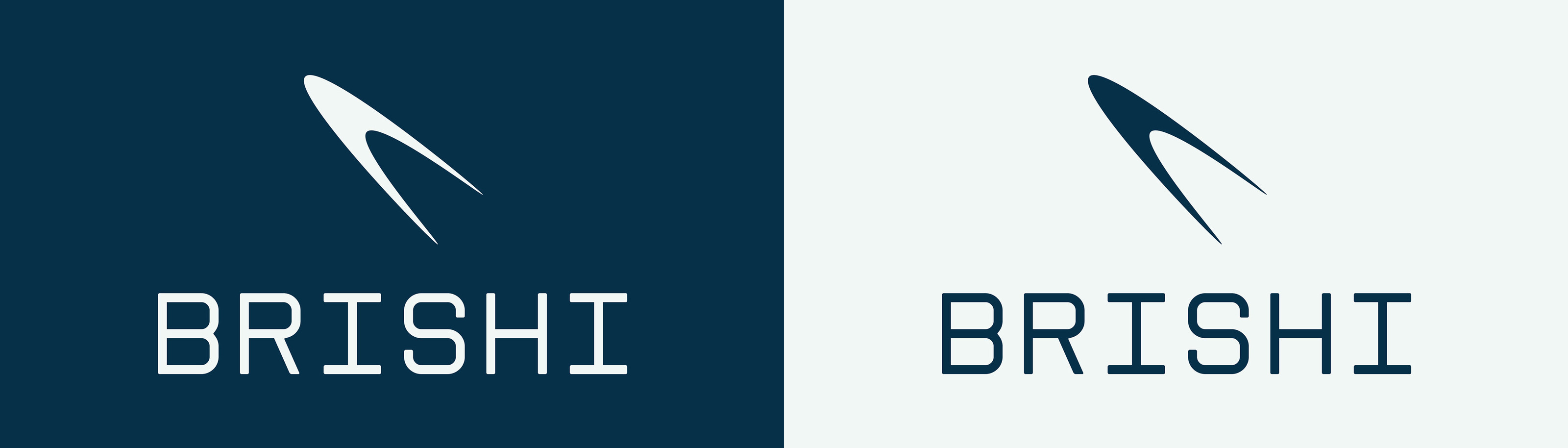 Фирменный стиль для IT компании BRISHI | Логотип — Изображение №2 — Брендинг, Графика на Dprofile