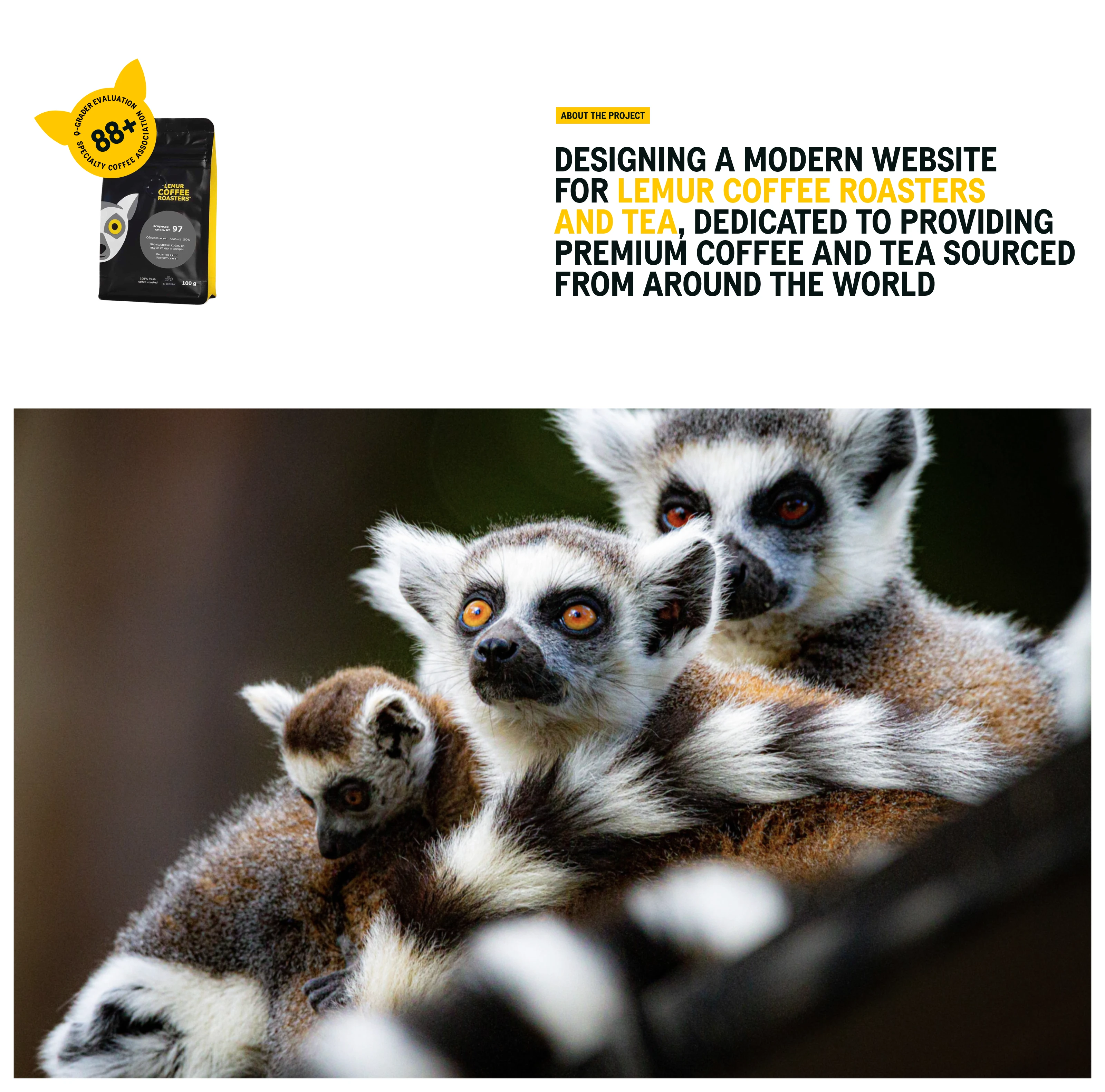 Lemur Coffee Roasters – Web Site Design — Изображение №2 — Интерфейсы на Dprofile