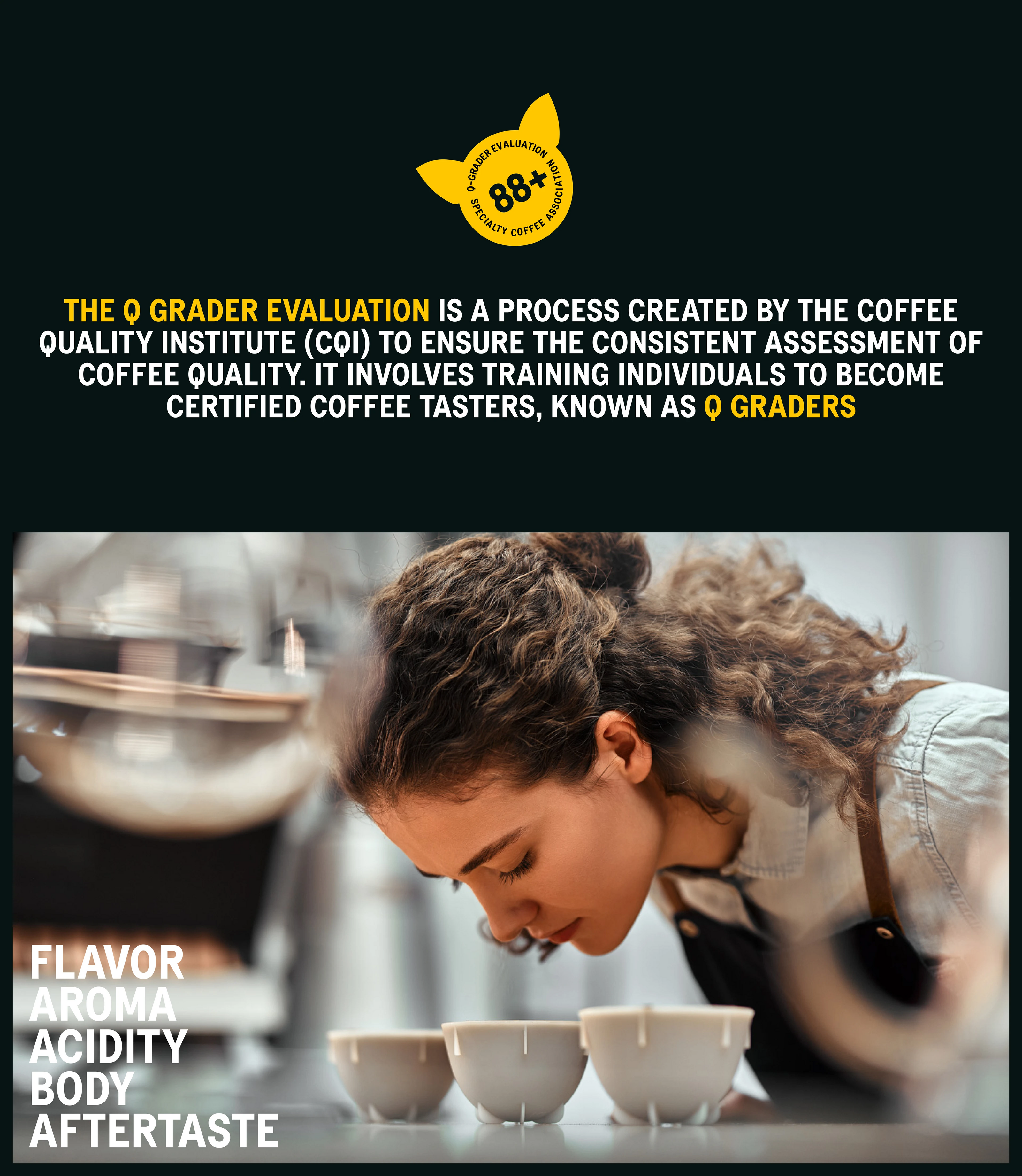 Lemur Coffee Roasters – Web Site Design — Изображение №5 — Интерфейсы на Dprofile