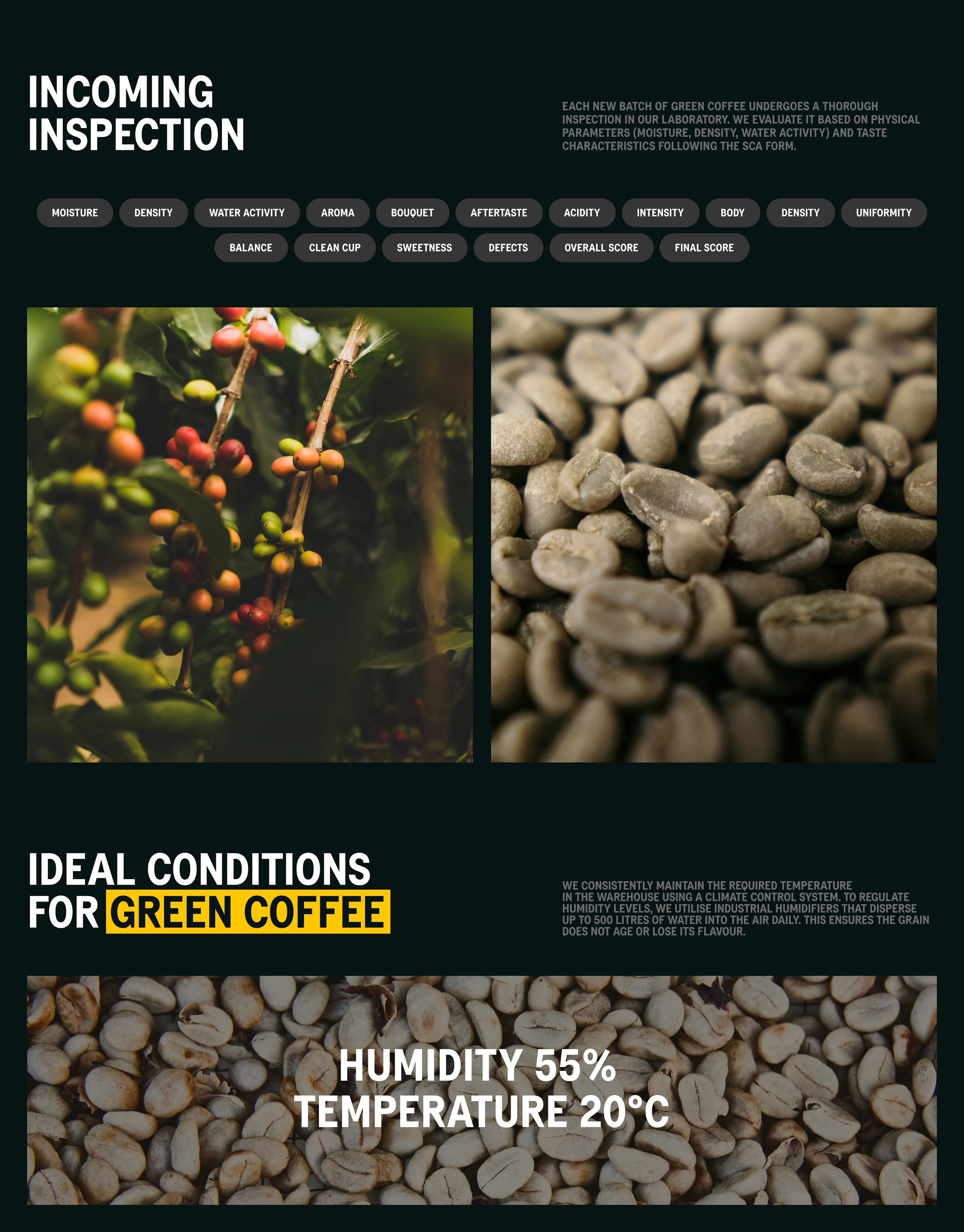 Lemur Coffee Roasters – Web Site Design — Изображение №8 — Интерфейсы на Dprofile