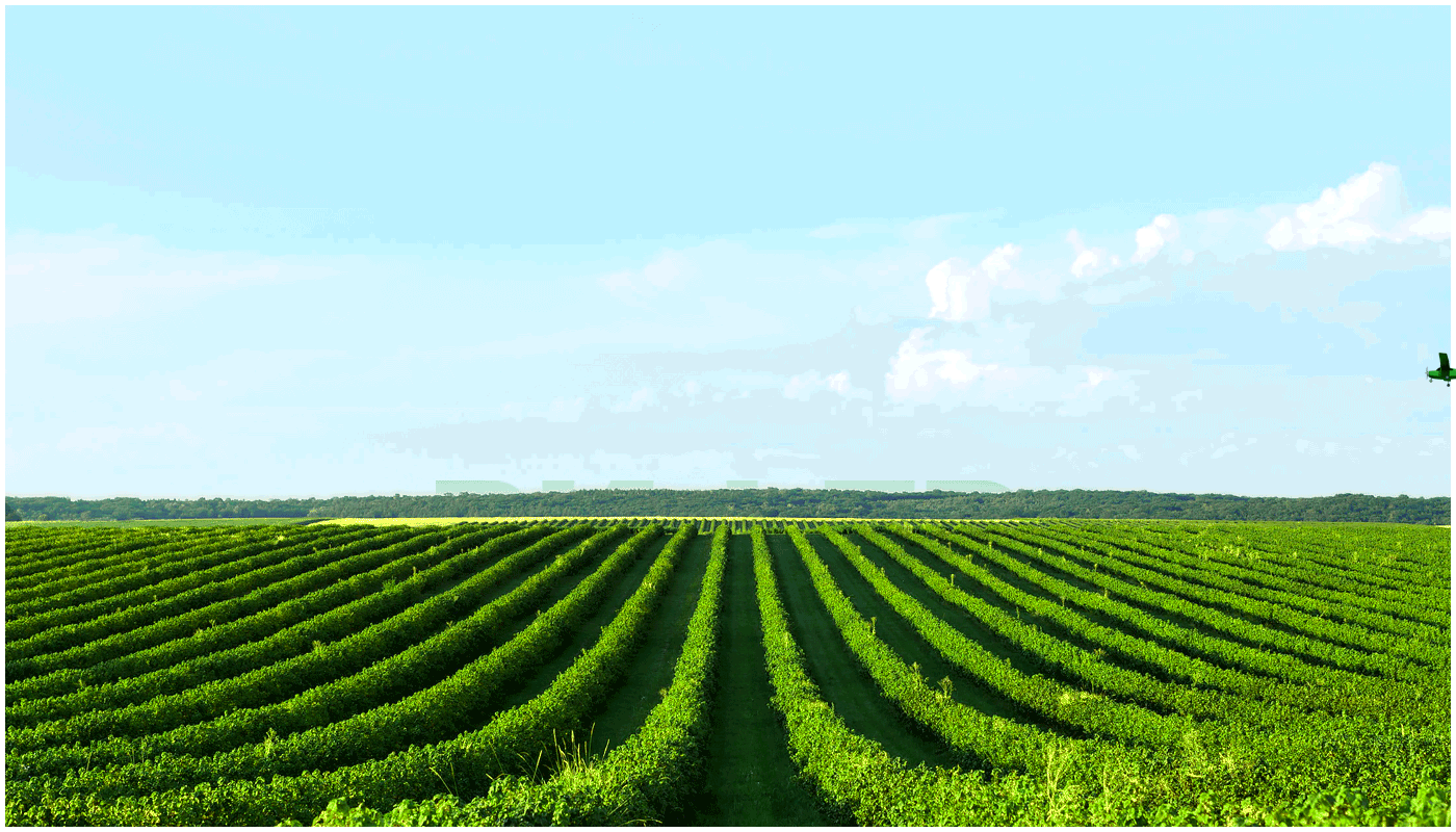 Брендинг для компании RIFER — Изображение №1 — Брендинг на Dprofile