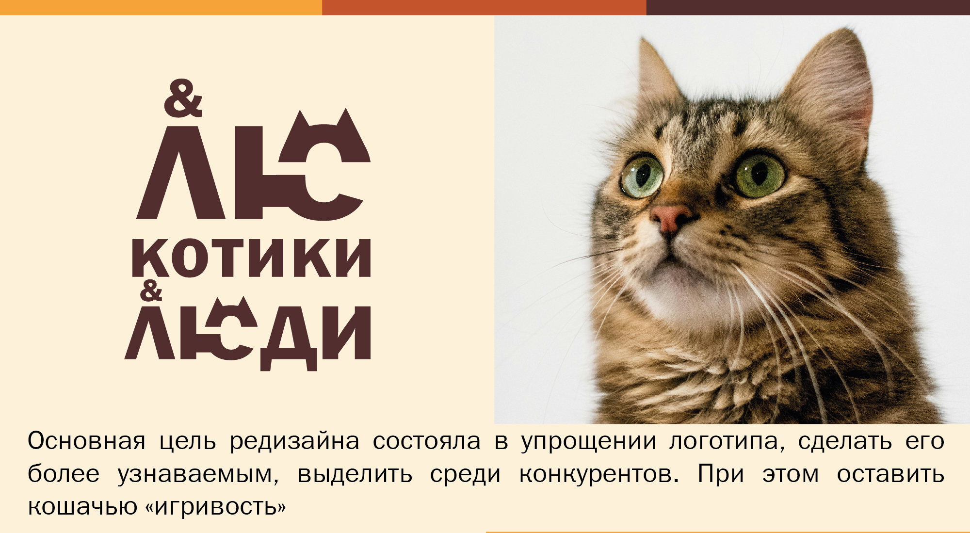 Фирменный стиль котокафе — Изображение №6 — Брендинг, Иллюстрация на Dprofile