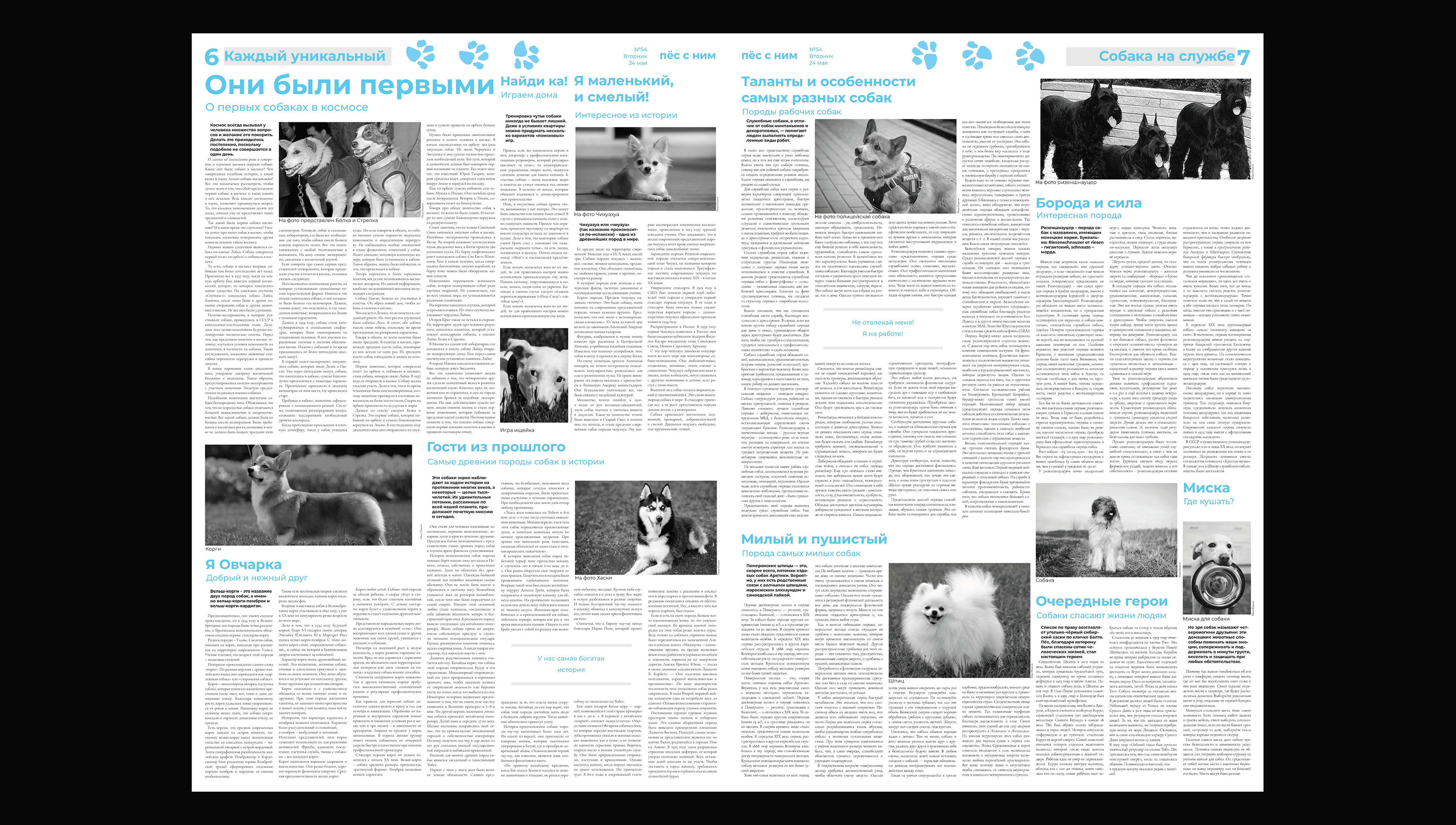 Газета про собак — Изображение №7 — Графика на Dprofile