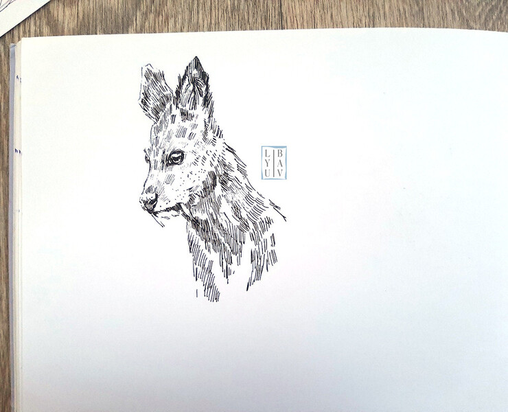 Графика: Кабарга(Красная книга) — Иллюстрация, Графика на Dprofile