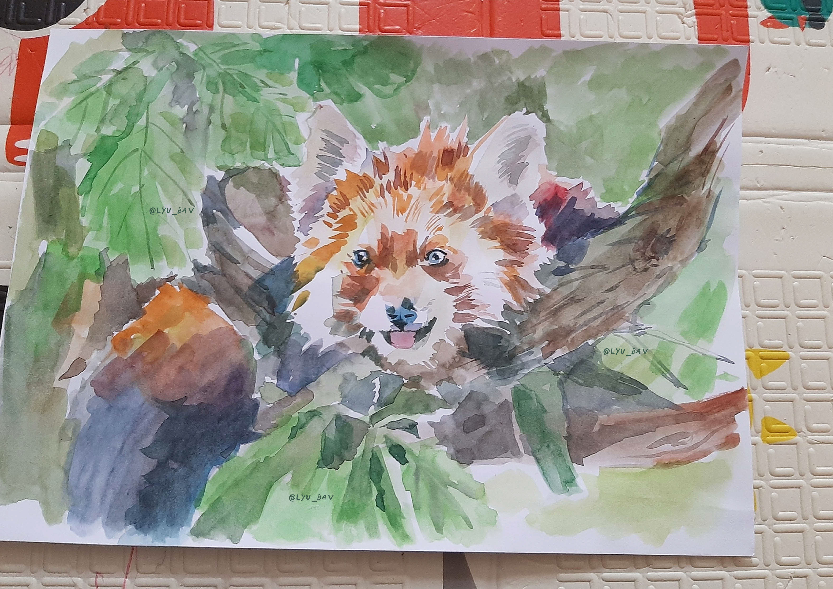 Животные дикой природы акварелью — Изображение №4 — Иллюстрация на Dprofile