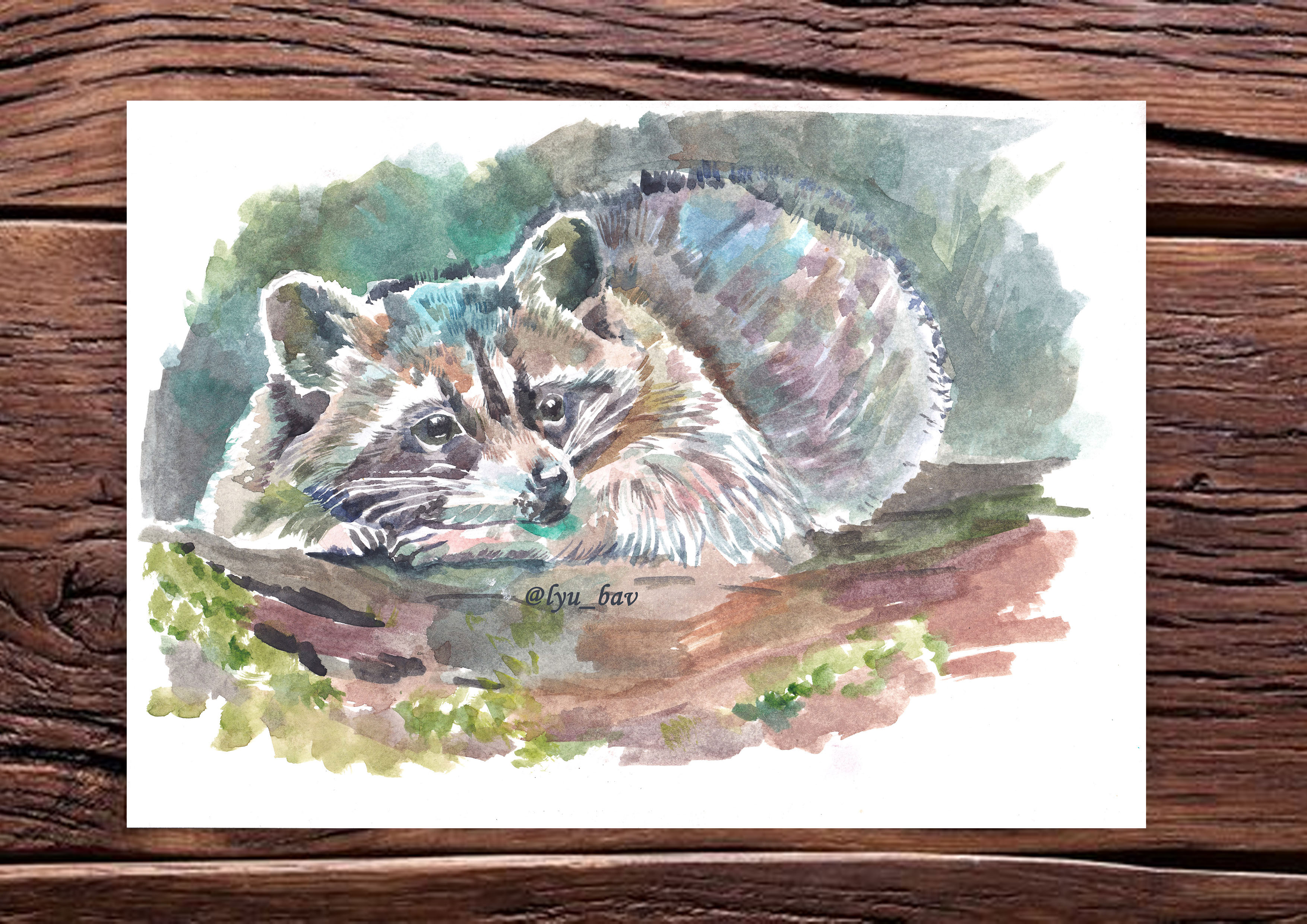 Животные дикой природы акварелью — Изображение №3 — Иллюстрация на Dprofile