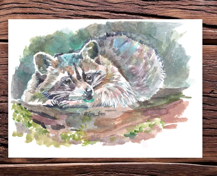 Животные дикой природы акварелью — Иллюстрация на Dprofile