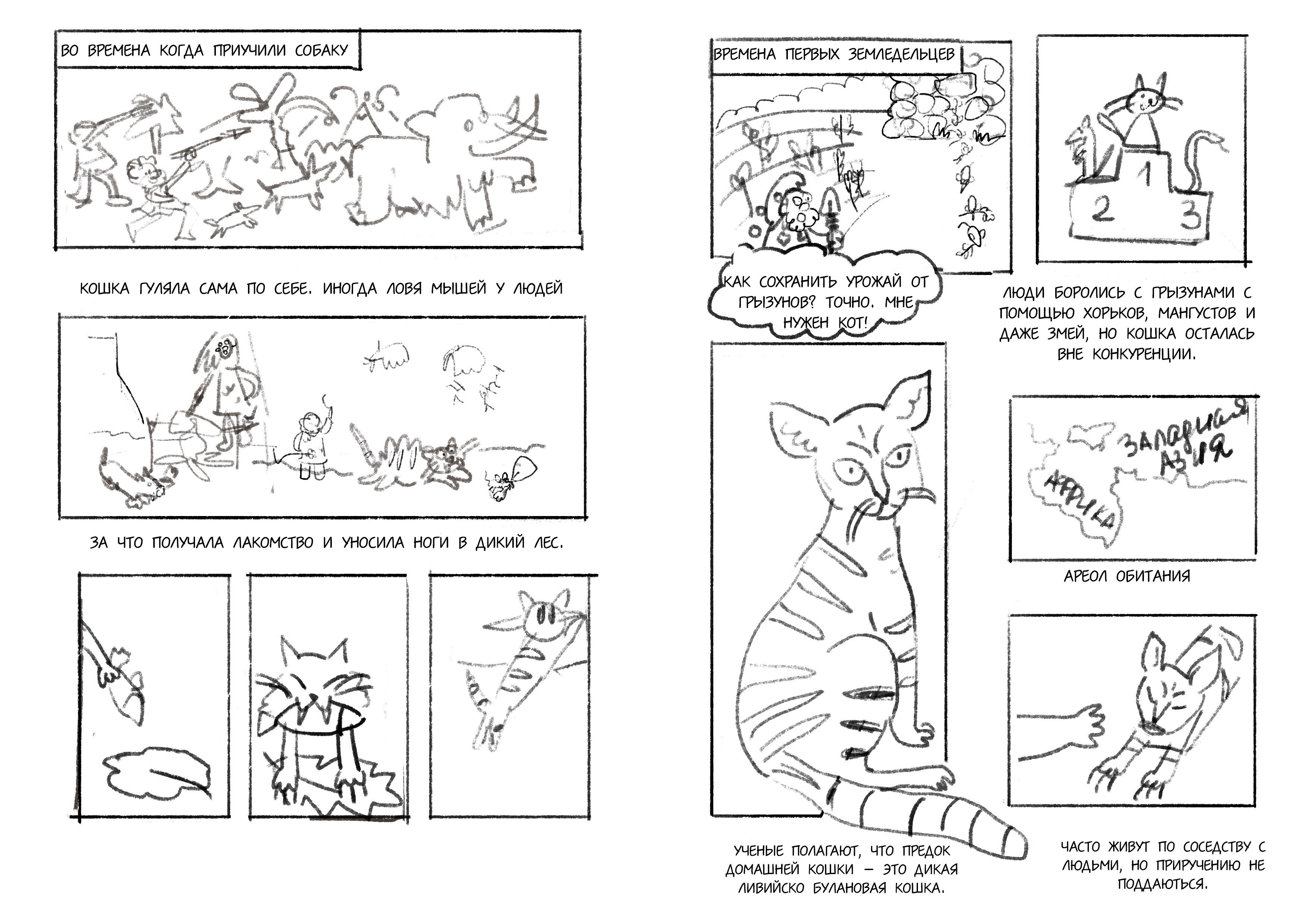 Авторский комикс про кошек — Изображение №3 — Иллюстрация, Анимация на Dprofile