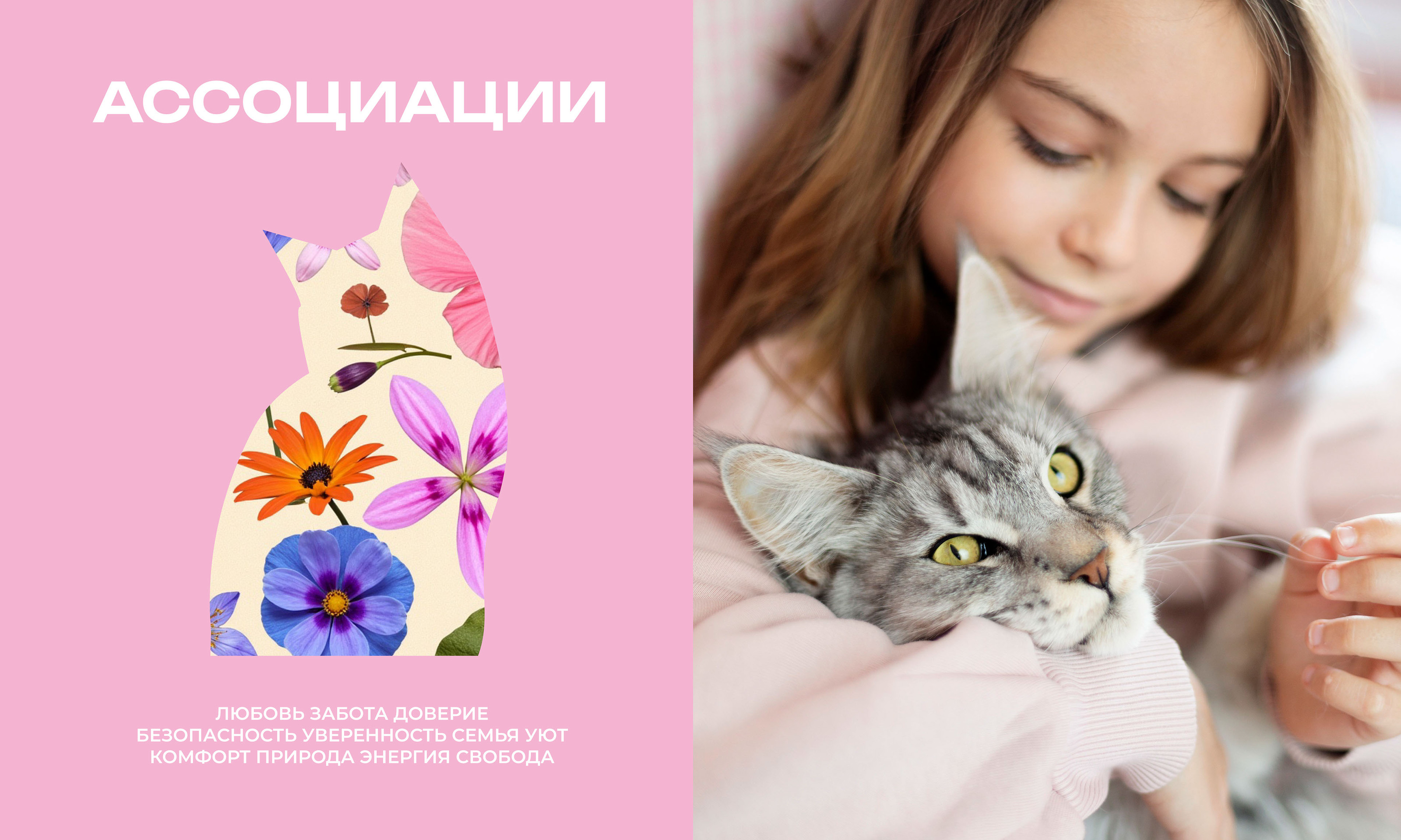 Нейминг / Фирменный стиль / Брендинг / Логотип кормов для д… — Изображение №7 — Брендинг на Dprofile