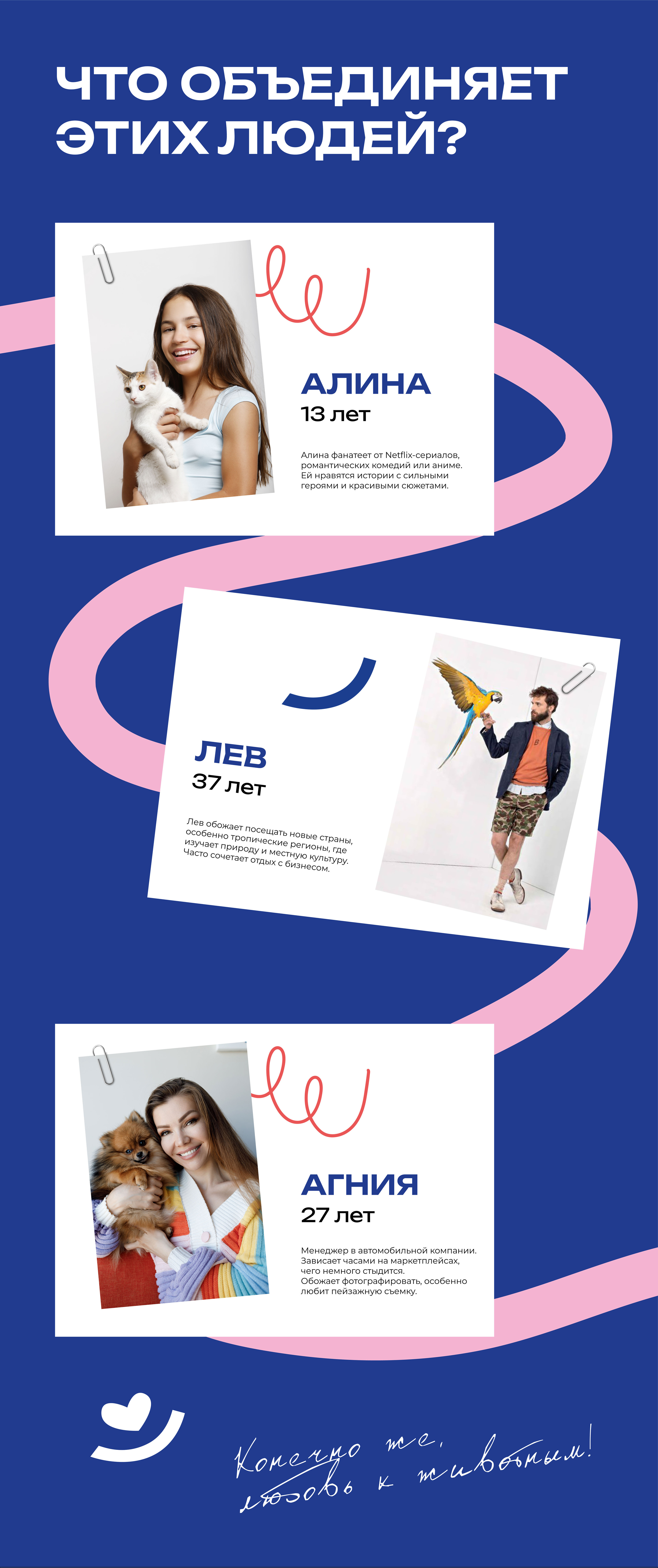 Нейминг / Фирменный стиль / Брендинг / Логотип кормов для д… — Изображение №3 — Брендинг на Dprofile