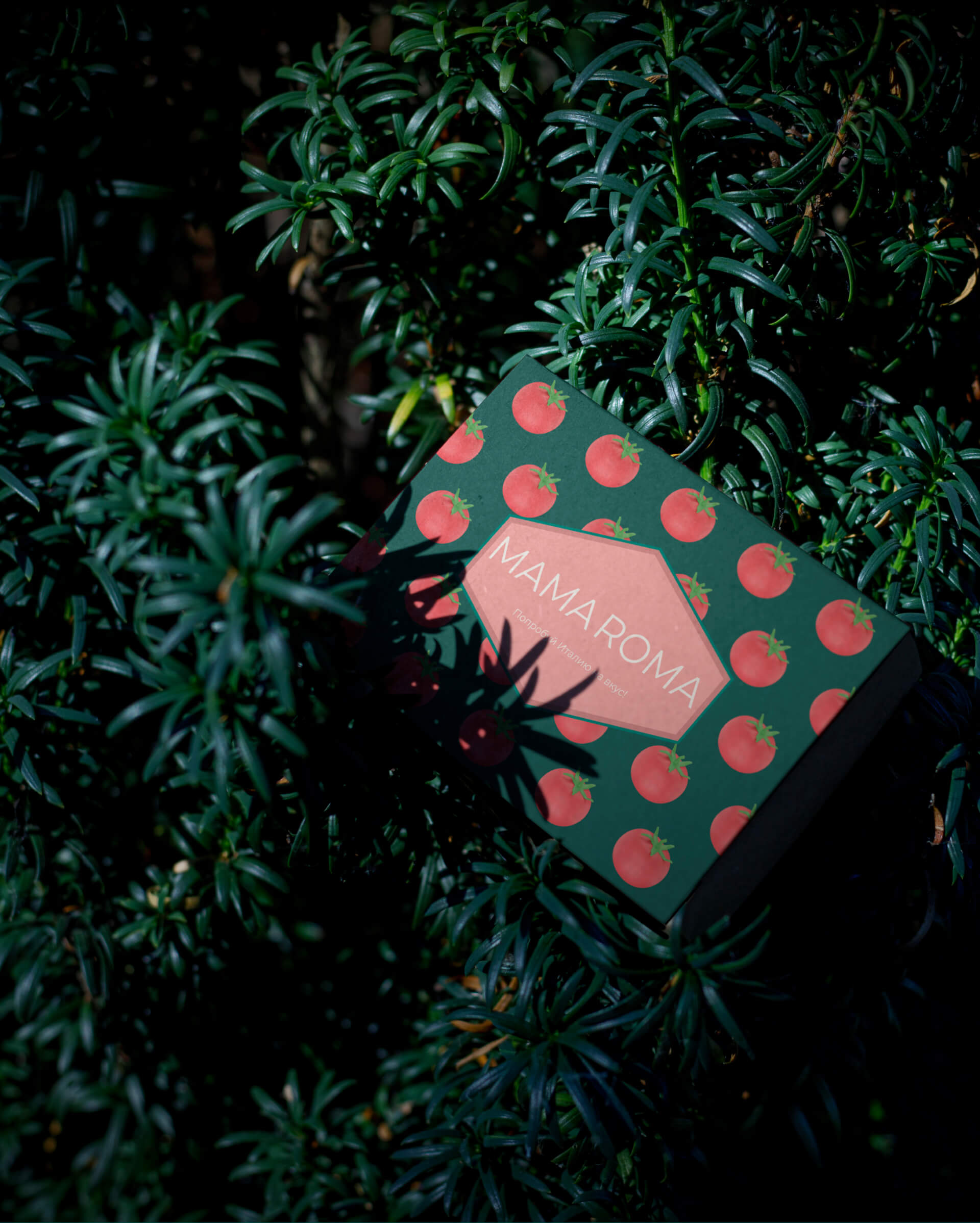 MAMA ROMA | Restaurant website redesign — Изображение №7 — Графика, Интерфейсы на Dprofile