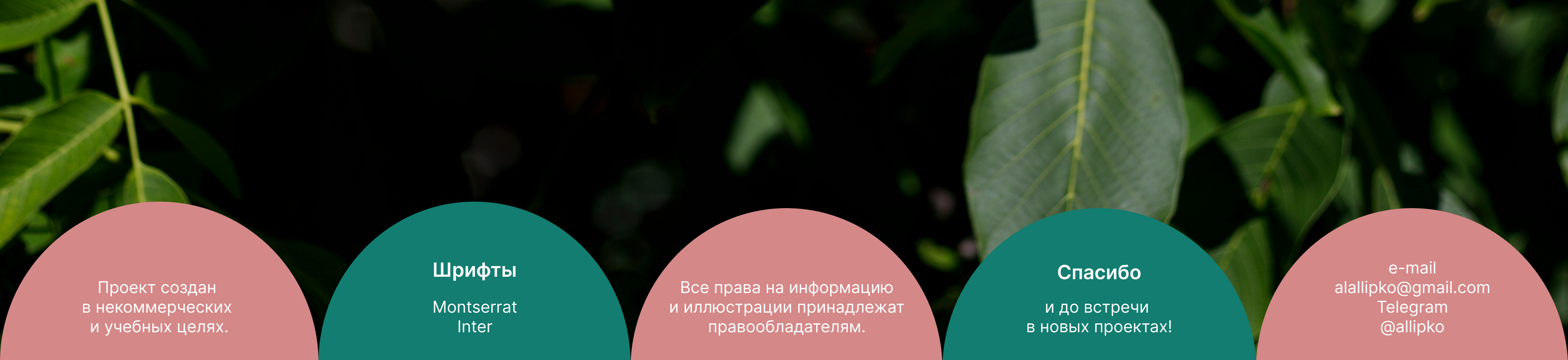 MAMA ROMA | Restaurant website redesign — Изображение №16 — Графика, Интерфейсы на Dprofile