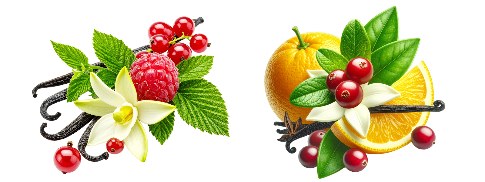 Зефир со вкусом отпуска — Изображение №15 — Брендинг на Dprofile