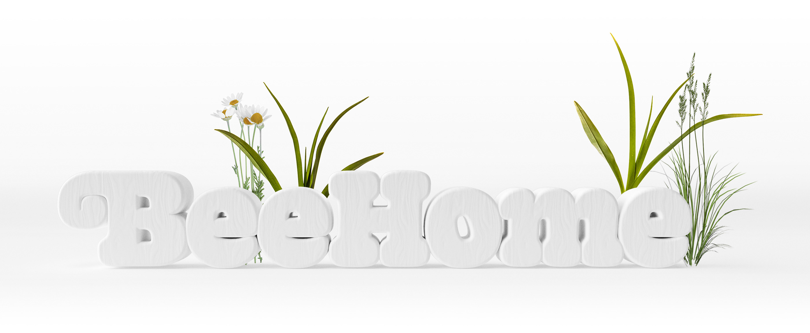 BeeHome — Изображение №3 — Брендинг, Графика, 3D на Dprofile