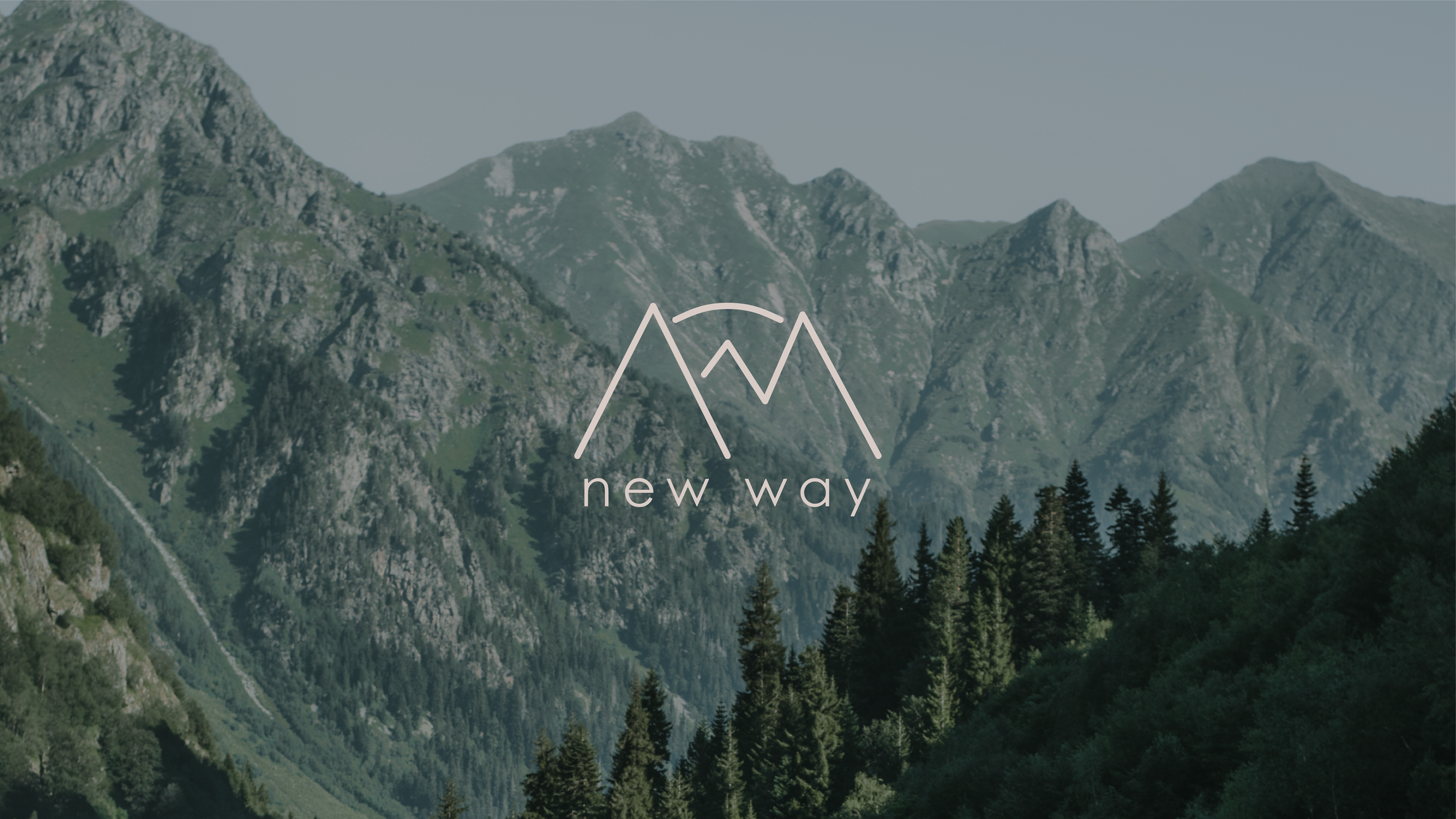 NEW WAY | логотип и фирменный стиль — Изображение №1 — Брендинг на Dprofile