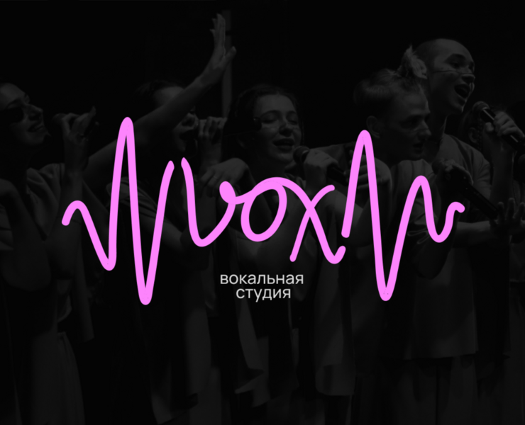 VOX | логотип и брендинг — Брендинг на Dprofile