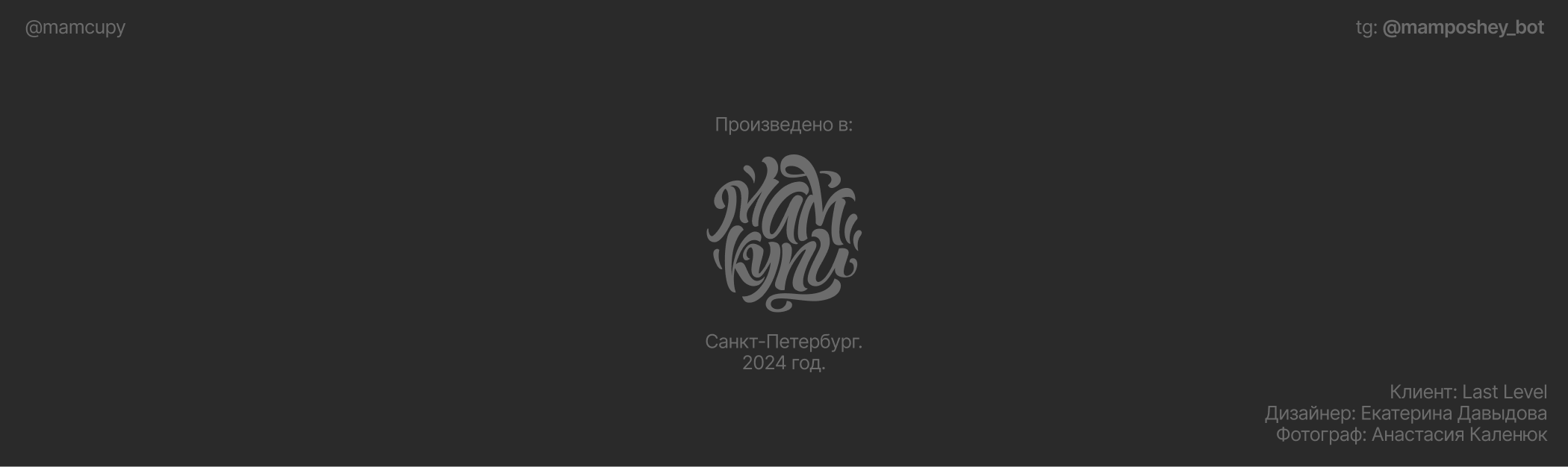 Last Level | дизайн бомбера — Изображение №10 — Брендинг, Графика на Dprofile