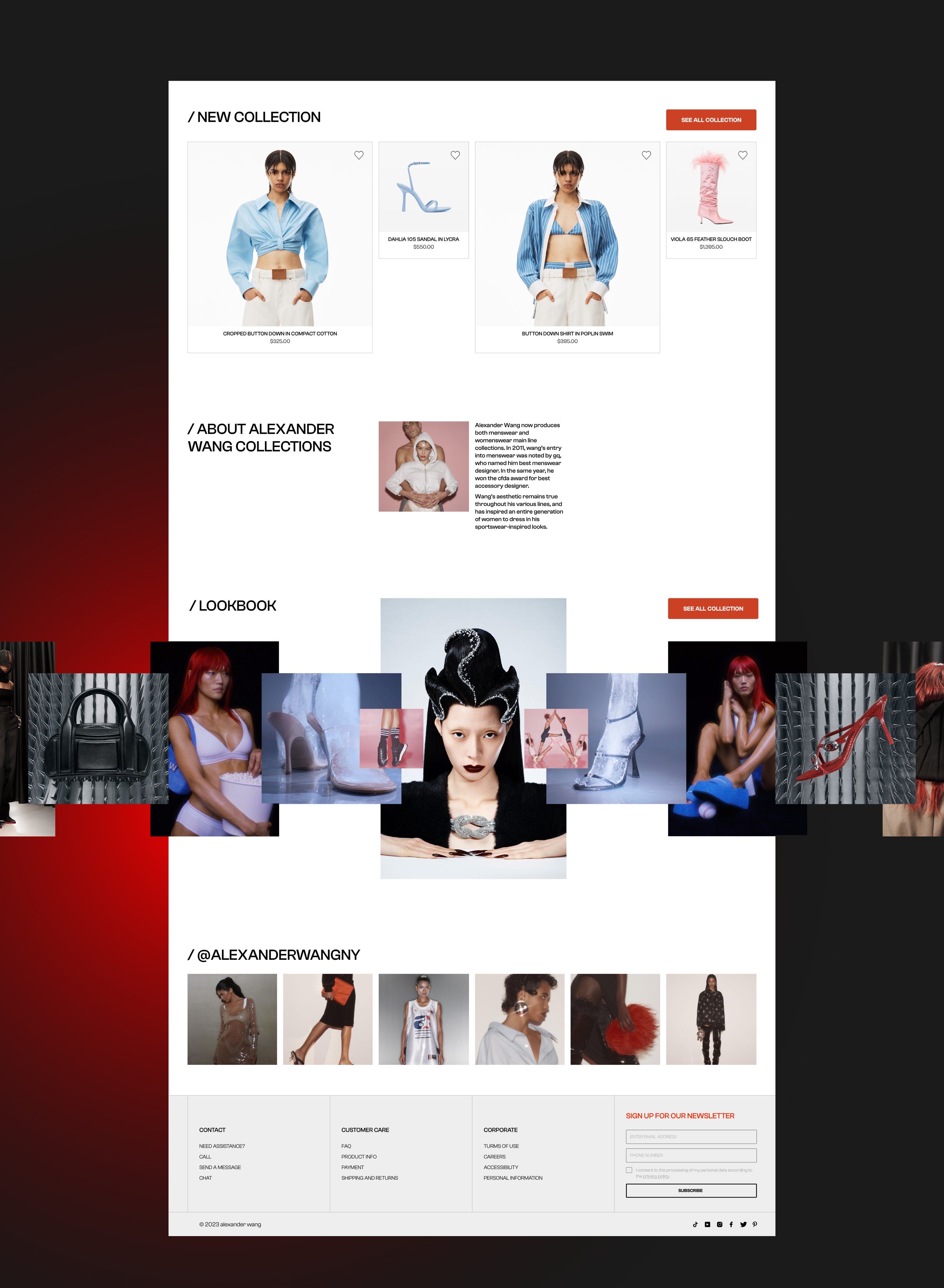 ALEXANDER WANG | Website Redesign — Изображение №5 — Интерфейсы на Dprofile
