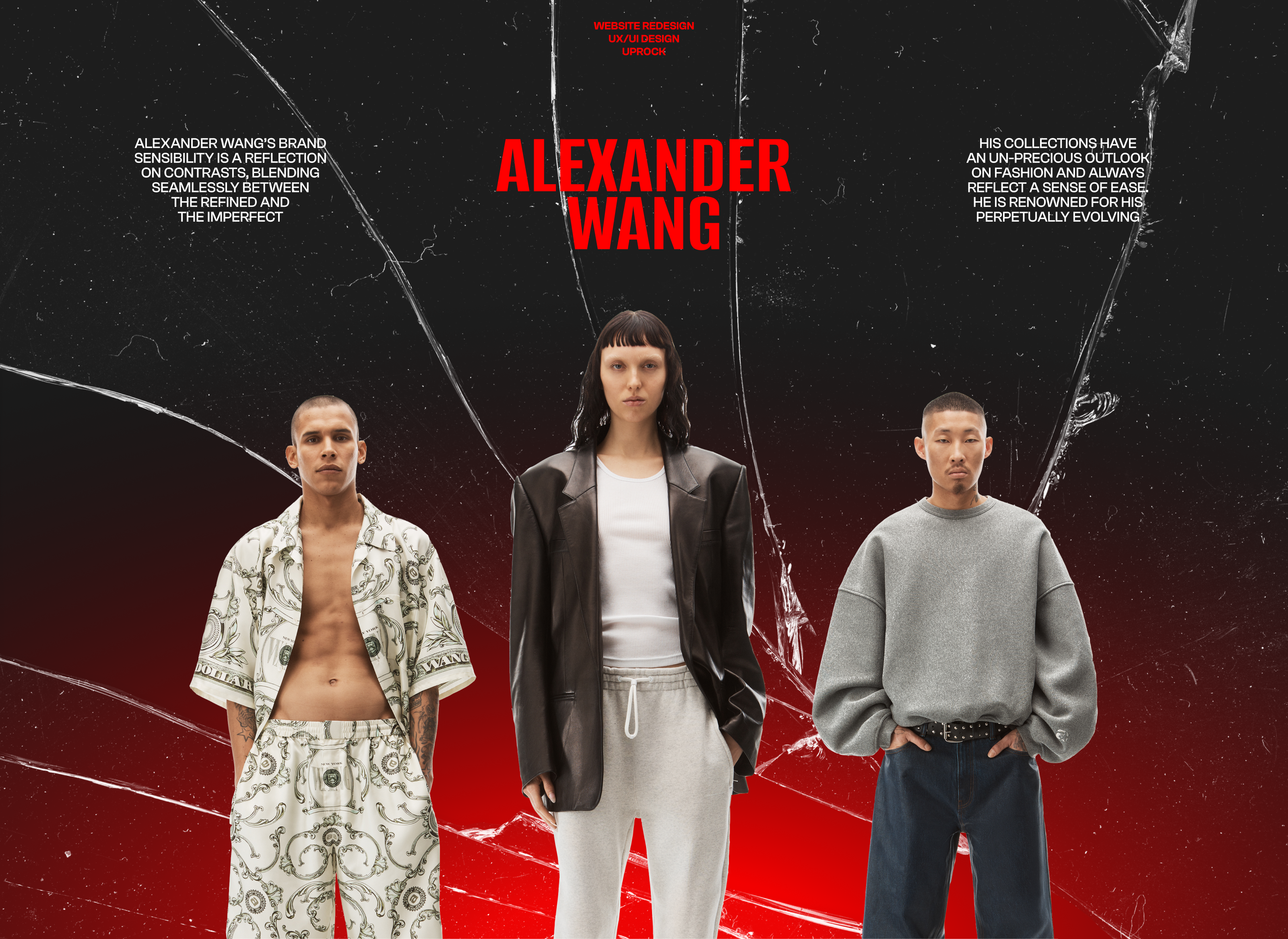 ALEXANDER WANG | Website Redesign — Изображение №1 — Интерфейсы на Dprofile