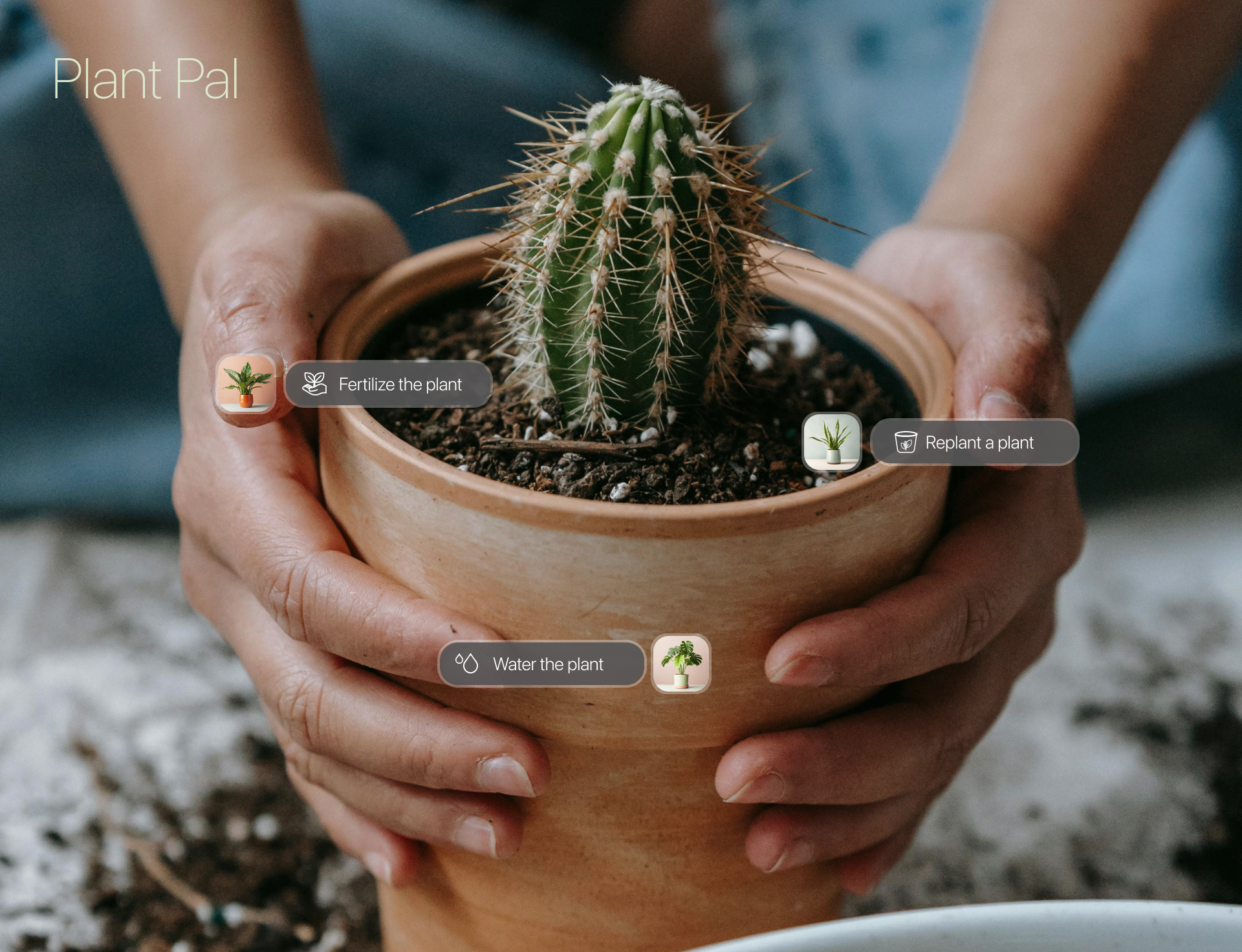 Plant pal/mobile app — Изображение №1 — Интерфейсы на Dprofile