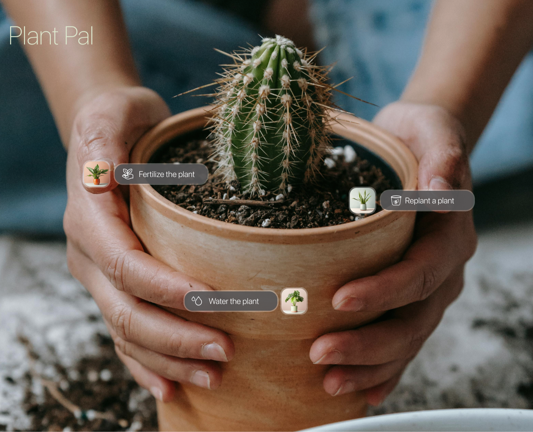 Plant pal/mobile app — Интерфейсы на Dprofile