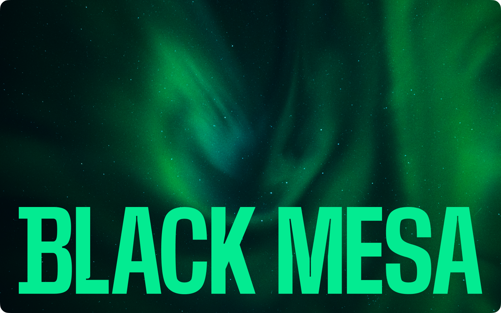 BLACK MESA: фирменный стиль, 3D, сайт для IT-компании — Изображение №1 — Интерфейсы, Брендинг на Dprofile