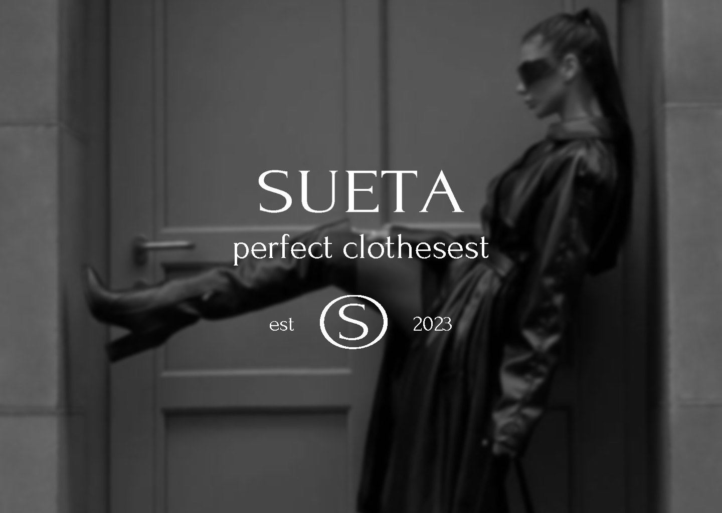 SUETA — Изображение №1 — Брендинг на Dprofile