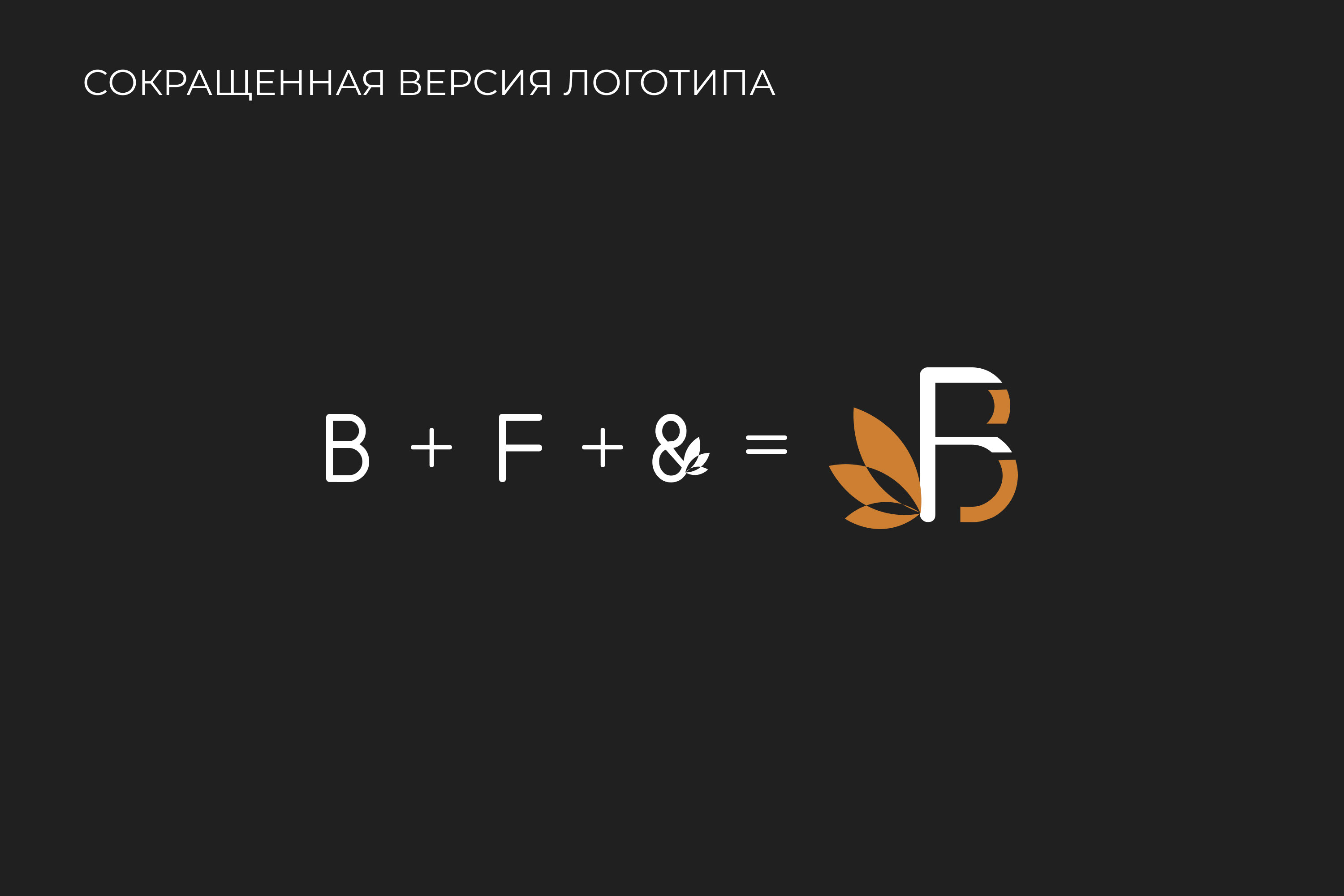 Фирменный стиль Buy&Fly — Изображение №3 — Брендинг, Графика на Dprofile