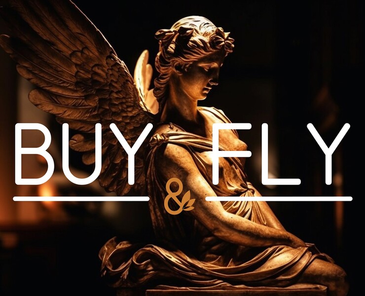 Фирменный стиль Buy&Fly на Dprofile